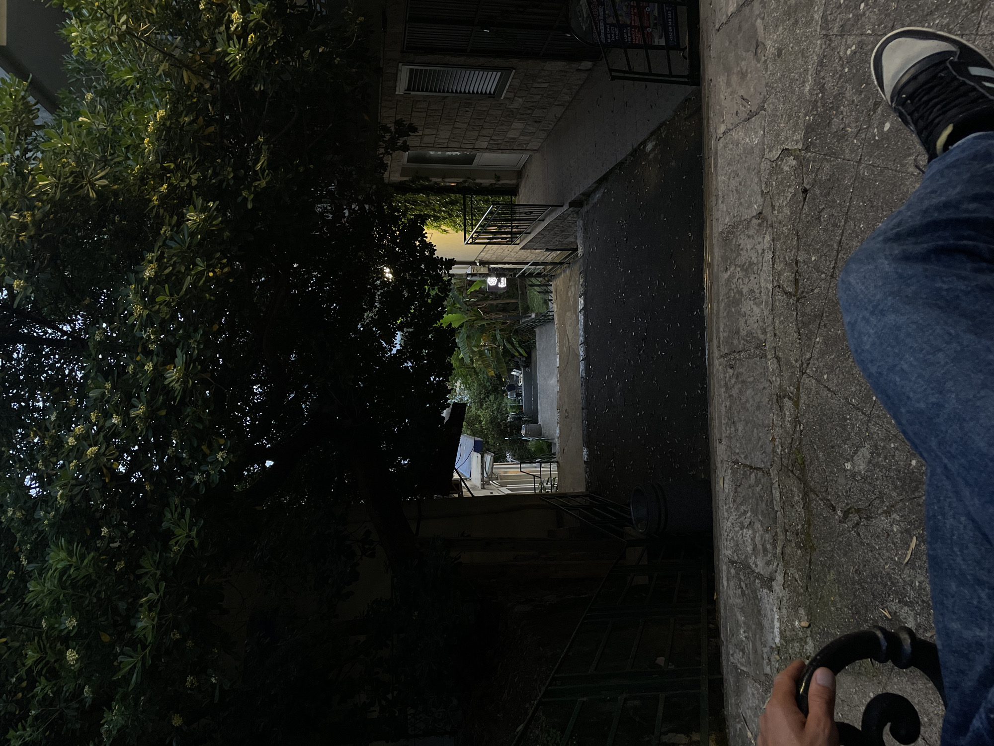 A vertical eye-level photograph depicts a narrow street in Herceg Novi, Montenegro, partially obscured by a large tree on the left. The street descends between stone buildings with wrought-iron balconies and railings. The pavement is visible, with patches of dampness. A person wearing jeans and a sneaker is visible on the right side of the frame, gripping a wrought iron rail. The overall lighting is dim, creating shadows.