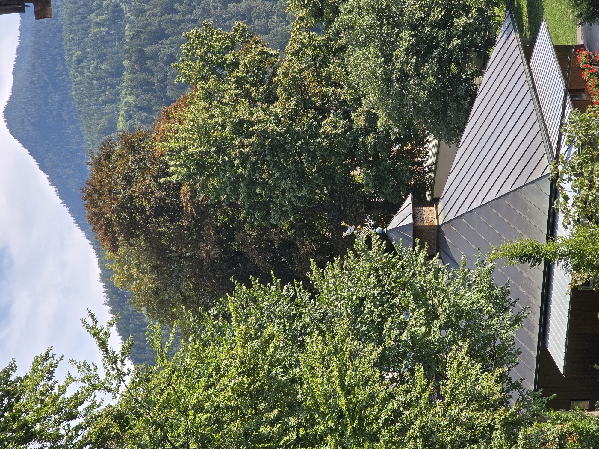 This image captures a view from a high vantage point, looking down onto a building with a dark, angular roof. The building appears to be a single-story structure with wooden accents and a white trim visible beneath an overhang. A decorative weathervane, shaped like a bird on a pole with musical notes, tops a smaller turret on the roof. Lush green trees with dense foliage dominate the foreground and middle ground, obscuring parts of the building. In the background, a majestic, tree-covered mountain looms under a bright, partly cloudy sky. The overall scene suggests a scenic, possibly rural or semi-rural location. Given the context of Garmisch-Partenkirchen, Germany, this could be a building nestled within the Bavarian Alps. There are no people visible in the image.