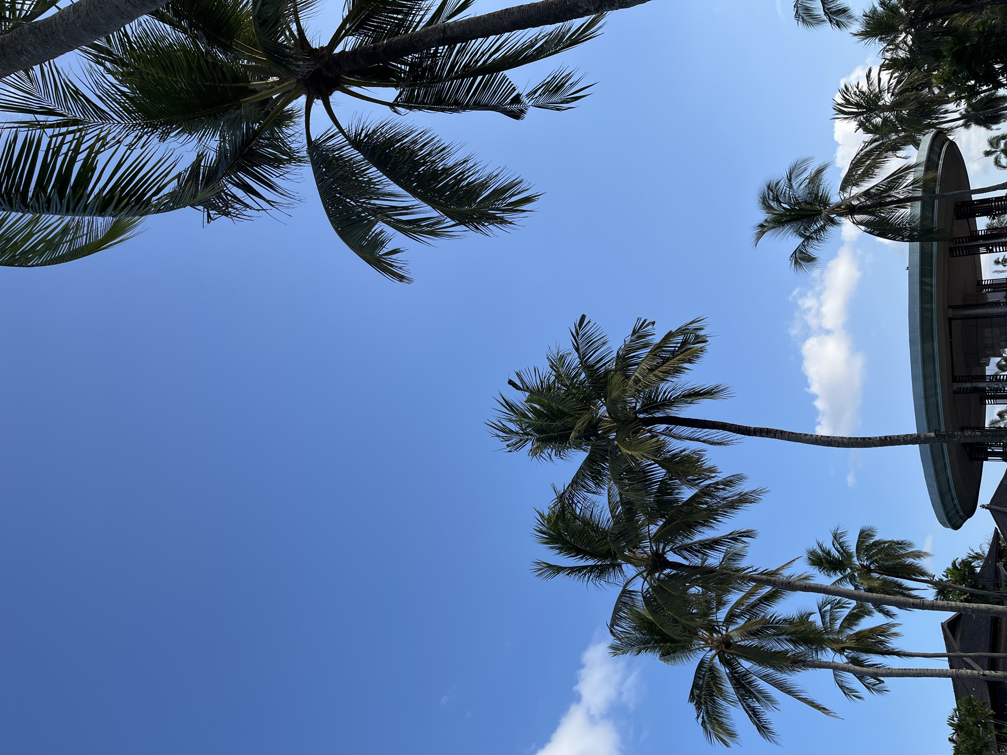 The image captures a clear blue sky with scattered white clouds. Several palm trees with green fronds are silhouetted against the sky, with some in the foreground and others in the background. In the lower portion of the image, there is a distinctive circular structure with a light green roof, supported by dark columns. This structure appears to be a building or an open-air pavilion. To the left of the circular structure, a portion of a dark-roofed building with visible wooden beams is visible. The scene suggests a tropical or subtropical environment, likely a resort or a public space in a coastal area. Given the description of Kuta Selatan, Indonesia, this scene is consistent with the tropical landscape of the region. No people or actions are discernable in the image.