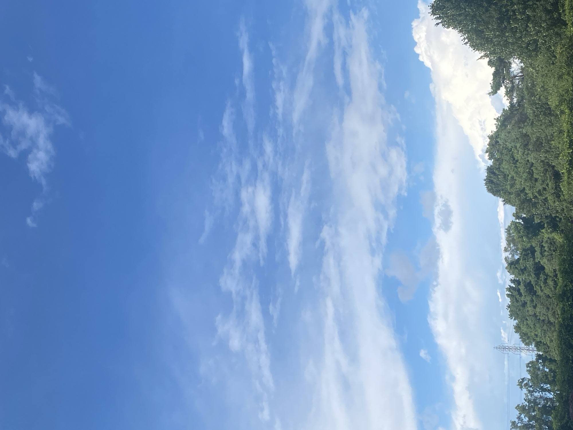 The image shows a clear blue sky with scattered wispy clouds. Below the sky, there is a dense line of green trees. A tall metal electrical tower with power lines is visible behind the trees on the left side of the image. The bottom of the image is filled with the green foliage of trees and bushes. The scene appears to be an outdoor environment, likely in a suburban or rural area, given the presence of trees and electrical infrastructure. The location is Sainte-Anne-de-Bellevue, Canada.