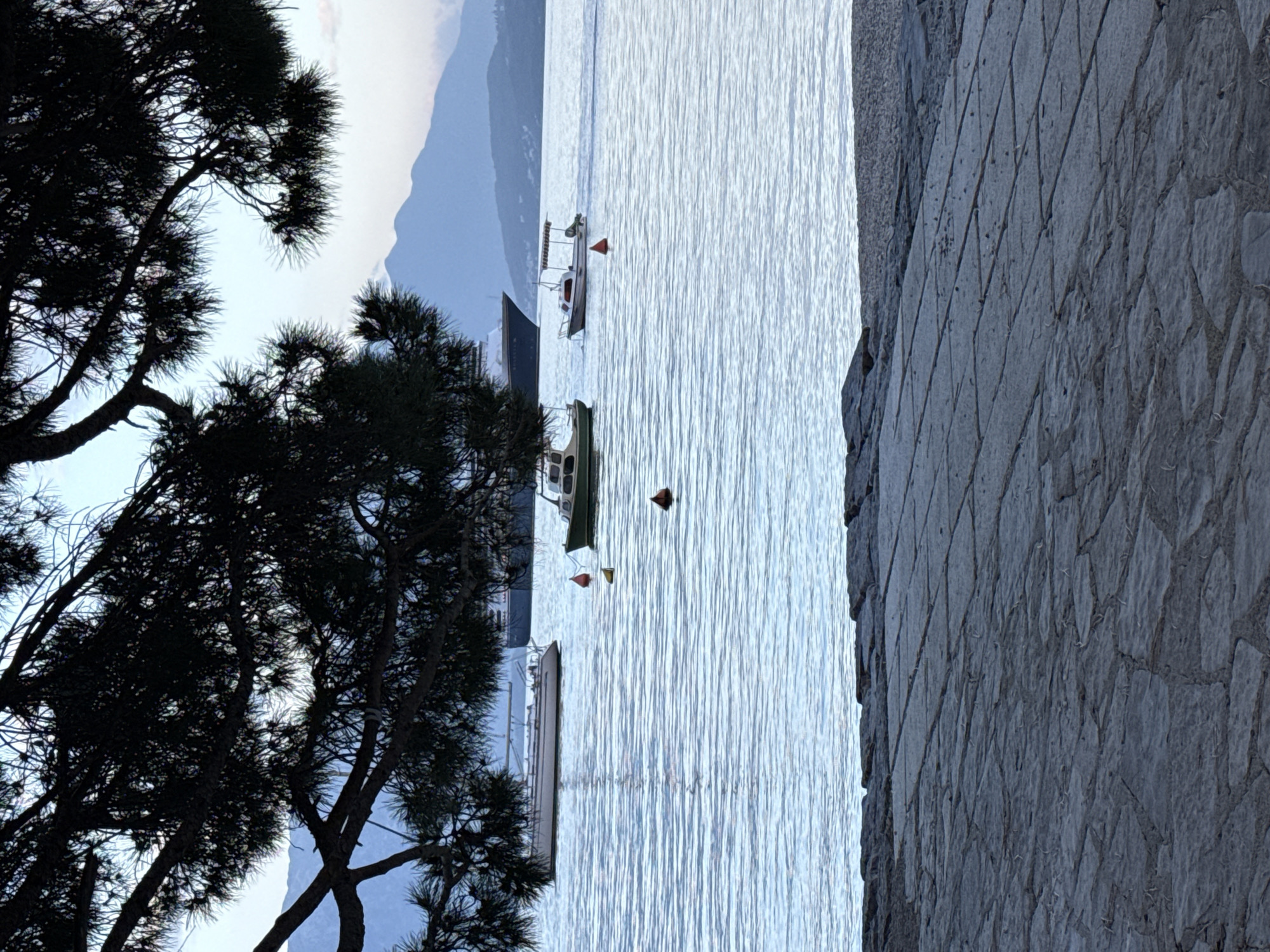 The image depicts a waterfront scene in Đenovići, Montenegro. The perspective is from an elevated position, looking out over the bay. The foreground includes the silhouette of a large tree to the left and a stone wall with textured surface to the right. The central focus is the water, where several small boats are moored. Two red buoys mark their location. In the background, the hazy outline of mountains can be seen, contrasting with the lighter tones of the sky. The overall lighting suggests early morning or late evening.
