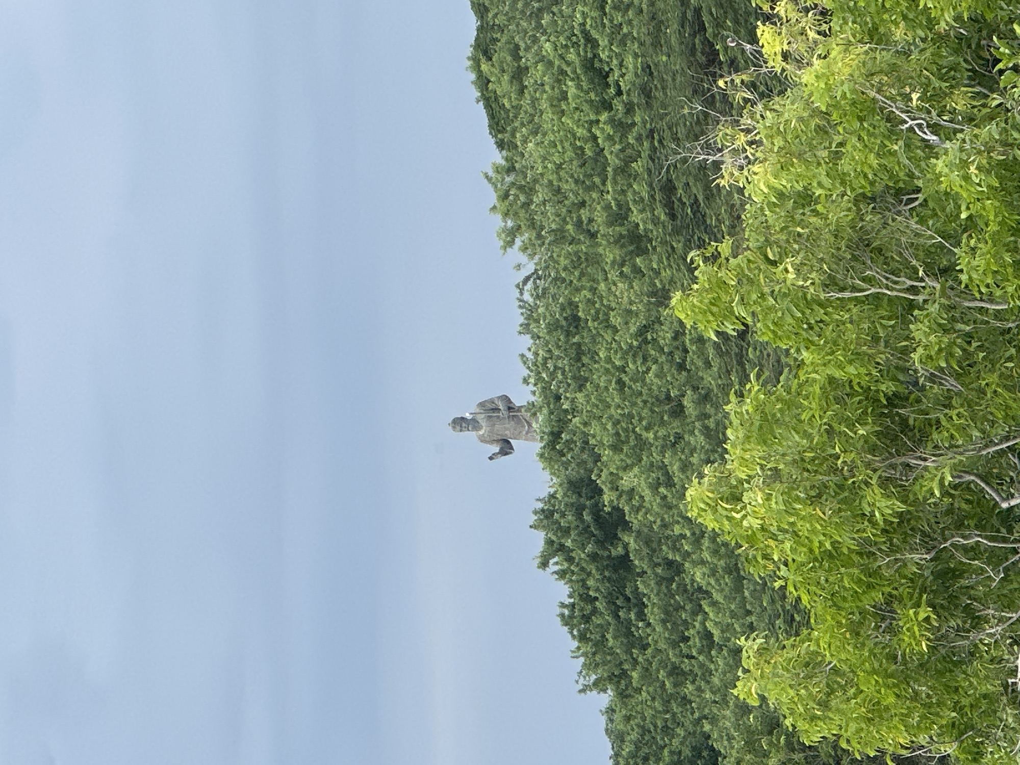 A statue stands atop a tree-covered hill under a cloudy sky, taken in Kuta Selatan, Indonesia.