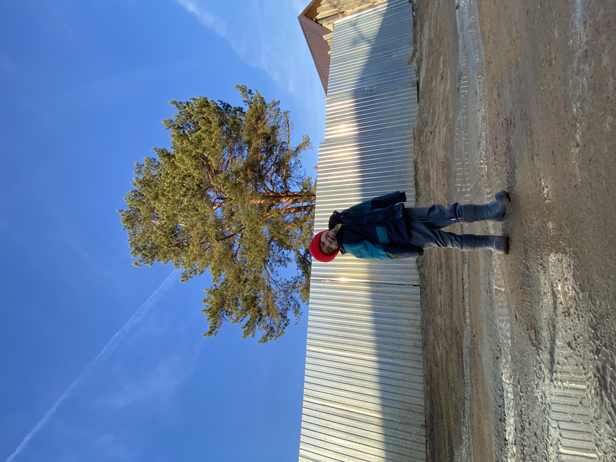 A young child in a red hat and a dark jacket with teal panels stands on a muddy patch of ground beside a corrugated metal fence. The child faces the viewer. A tall pine tree stands to the left of the fence against a bright blue sky marked with a contrail. The top corner of a building with a brown roof is visible above the fence. The image appears to have been taken in Chaikovsky, Russia, as specified.