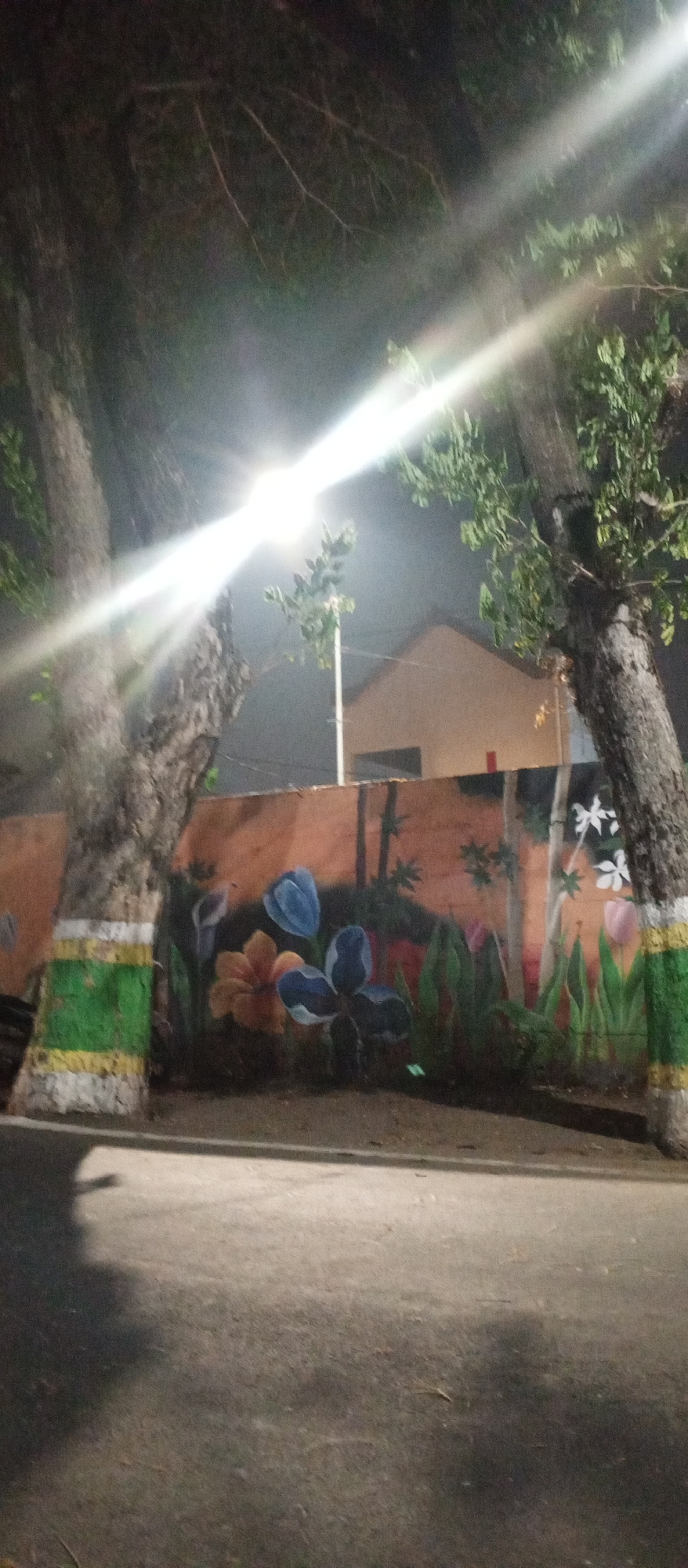 This is a nighttime, medium-shot photograph taken outdoors in Madiun, Indonesia. A prominent street lamp is shining brightly, creating harsh light beams that traverse the image. In the foreground, a paved road surface is visible, with shadows cast upon it, including a distinct shadow of a person with their arm raised.
Behind the road, a wall serves as a canvas for a vibrant mural depicting a garden scene. The mural features large, colorful flowers in shades of orange, blue, and pink, along with green foliage and bamboo-like stalks. The wall itself is painted a reddish-orange hue.
Two large trees flank the mural. The tree on the left is partially visible, with a thick, textured trunk painted with horizontal bands of green and yellow. The tree on the right is also visible, with a similarly textured trunk, and its branches extend into the upper part of the frame, partially obscuring the view of the sky and the street lamp. The foliage of these trees is dark and indistinct due to the nighttime setting.
In the background, behind the wall and trees, the roof and upper portion of a building are visible. The building appears to have a light-colored facade and a darker-colored rectangular window or opening. The overall scene suggests an urban or suburban streetscape with decorative elements.