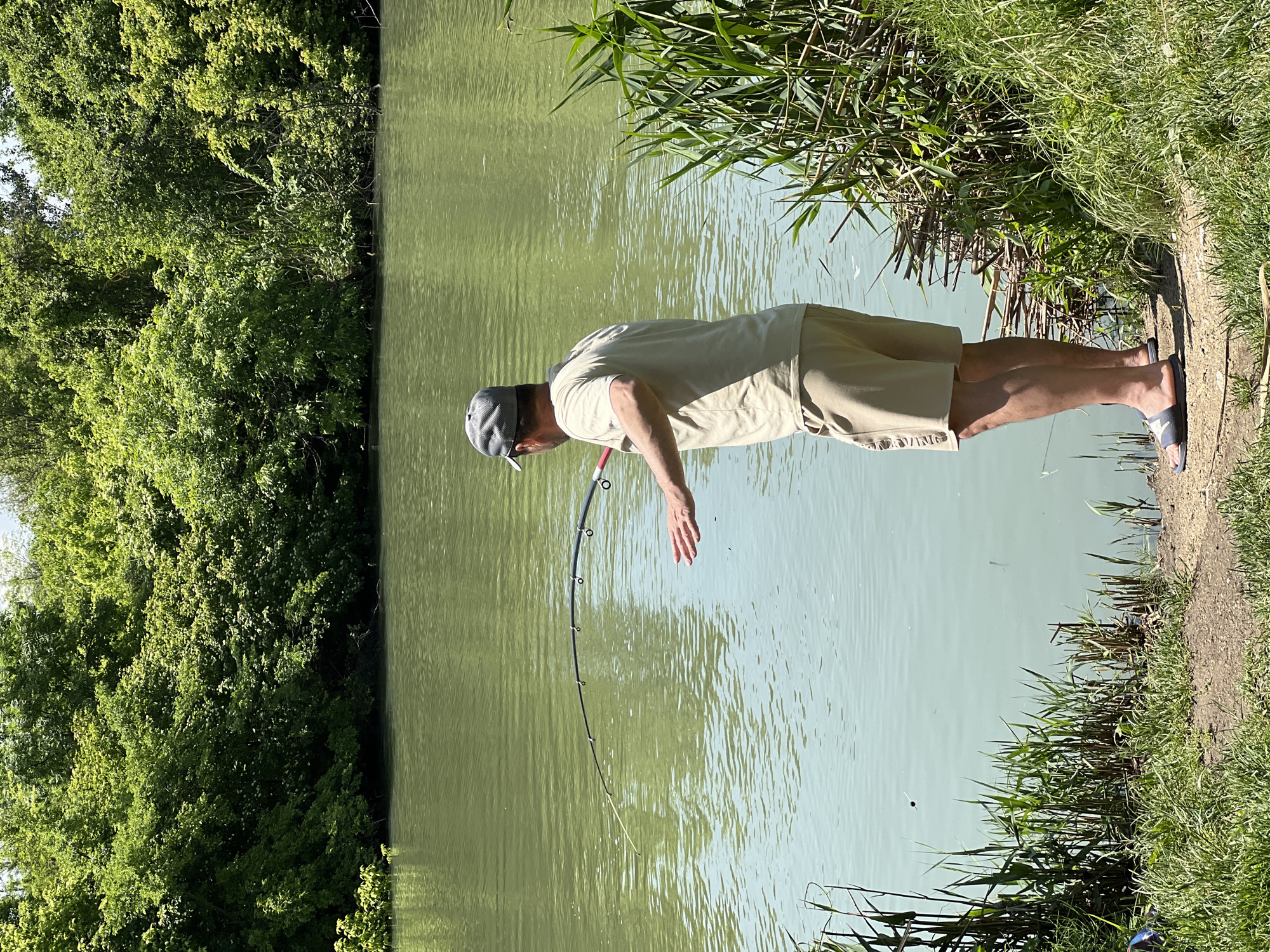 A man stands by the edge of a body of water, fishing. He wears a light-colored t-shirt, khaki shorts, a gray cap, and sandals. He holds a fishing rod with his left hand, extending his right hand over the water. The water reflects the sky and surrounding vegetation. On the left, dense green trees line the bank. On the right, tall grasses grow along the water's edge. The location is potentially in the city of Krasnodar, Russia.