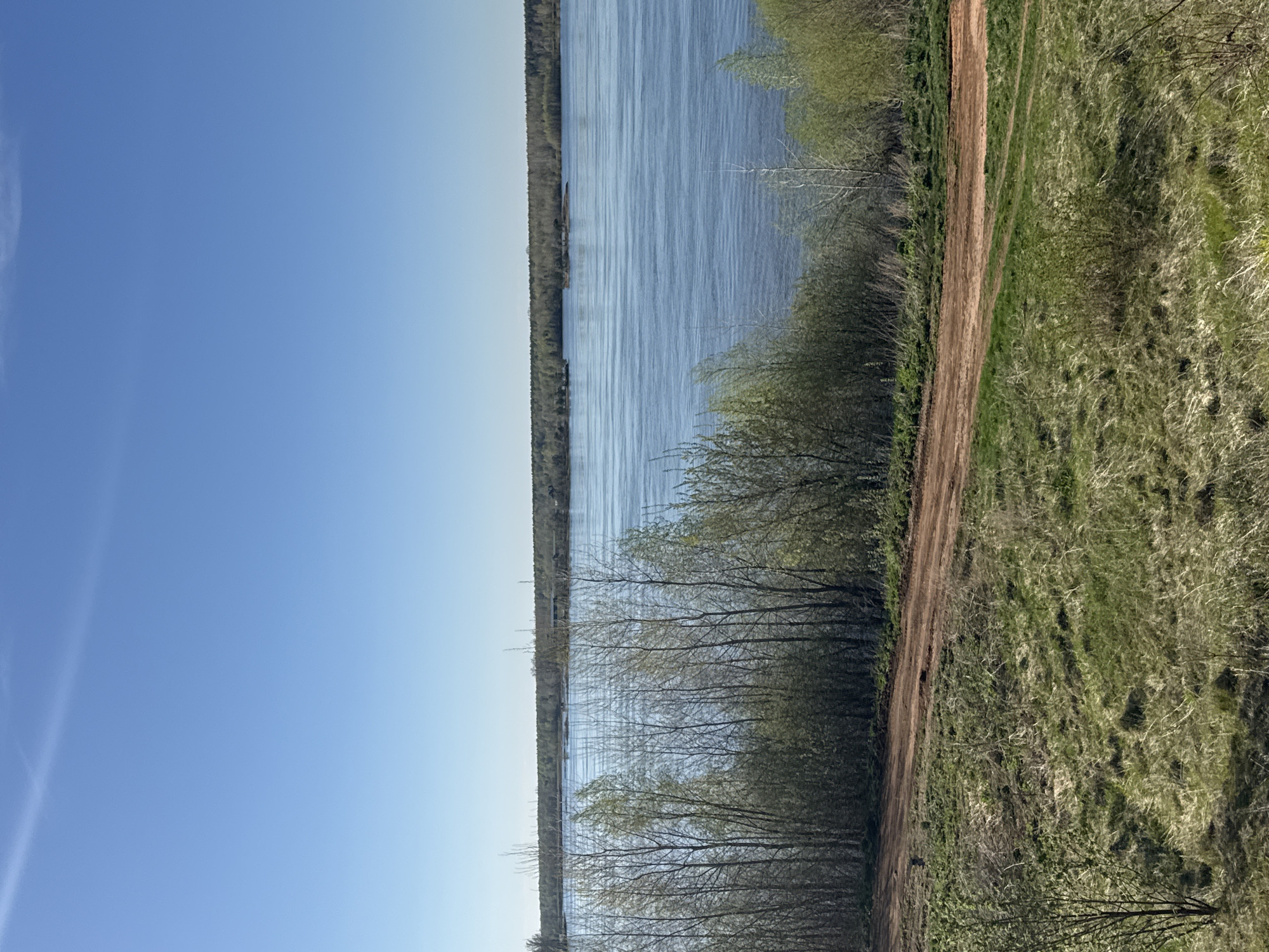 The image depicts a landscape in Ольховка, Russia, featuring a body of water, possibly a river or large lake, bordered by trees and vegetation on one side. A dirt path runs along the edge of the vegetation. The sky is clear and blue. There are no people visible. The scene suggests a natural setting within the city.