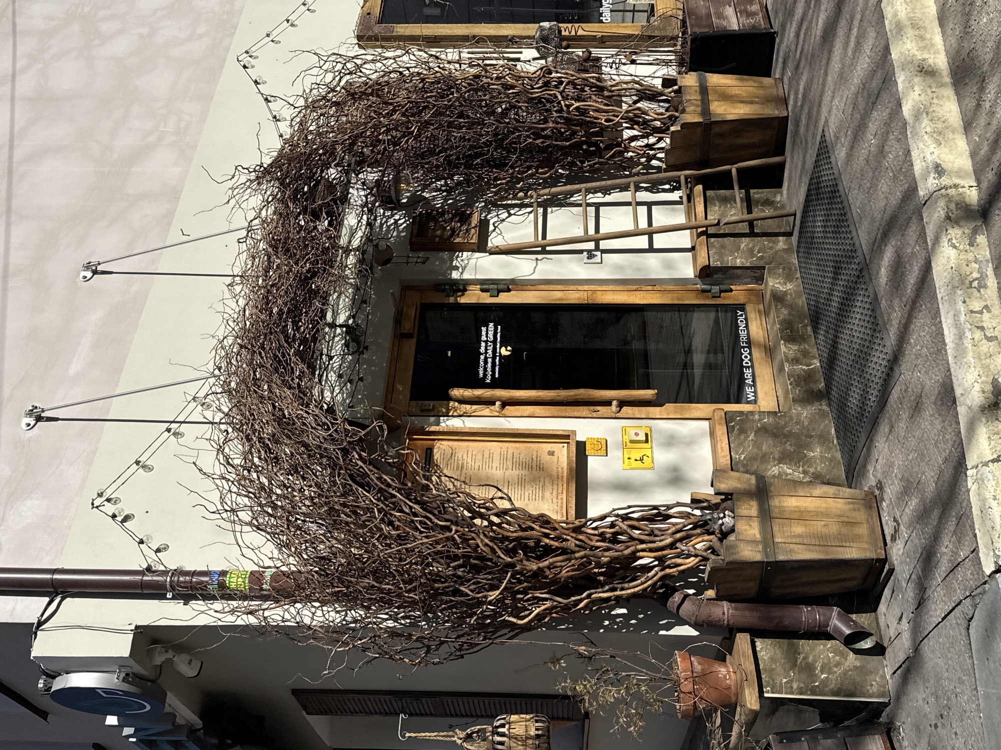 The exterior of a business establishment is captured in a medium shot. The facade is decorated with an organic arrangement of twigs, creating a natural archway. The business entrance features a glass door with a wooden frame, flanked by wooden barrels. A small ladder is also part of the exterior design. The business sign indicates that it is dog-friendly. The location is Moscow, Russia, as indicated by the signage "Kopejkin DAILY GREEN" which is a coffee shop franchise located there.