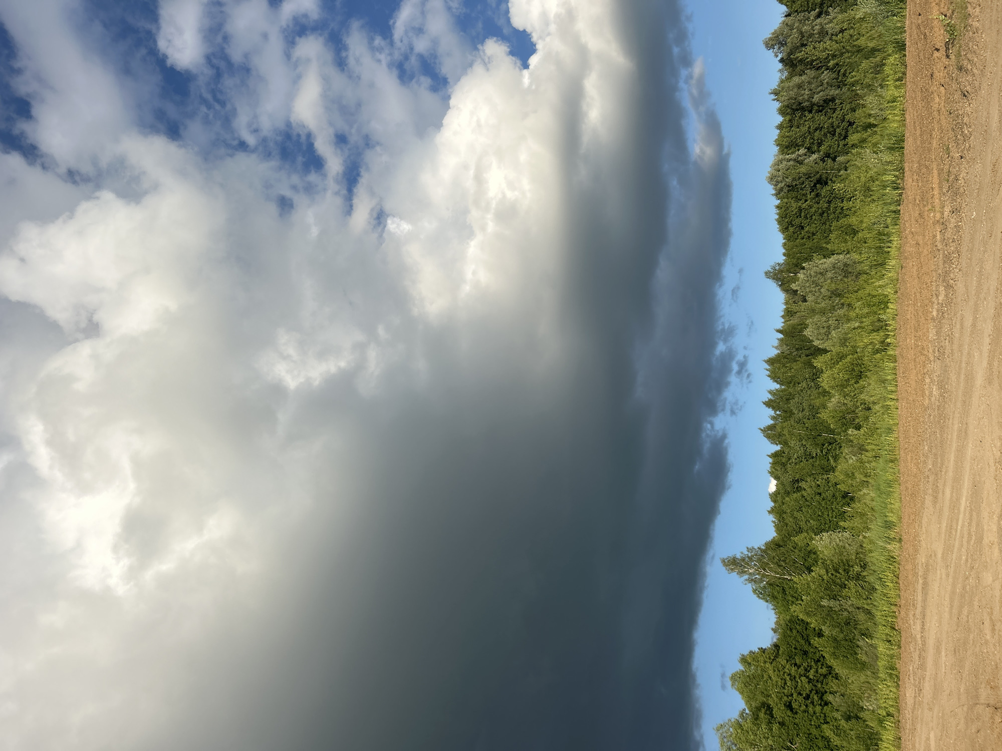 The image depicts a rural landscape with a dirt road in the foreground and a dense forest line in the middle ground. The sky above is a dramatic contrast of dark storm clouds on the left and bright, white cumulus clouds against a blue sky on the right. The forest is composed of various shades of green trees and vegetation. The scene appears to be located in Chernushka, Russia, given the provided context. There are no people or animals visible in the image, and no discernible actions or interactions are taking place. The environment is natural and undeveloped, suggesting an outdoor scene in a somewhat remote area.