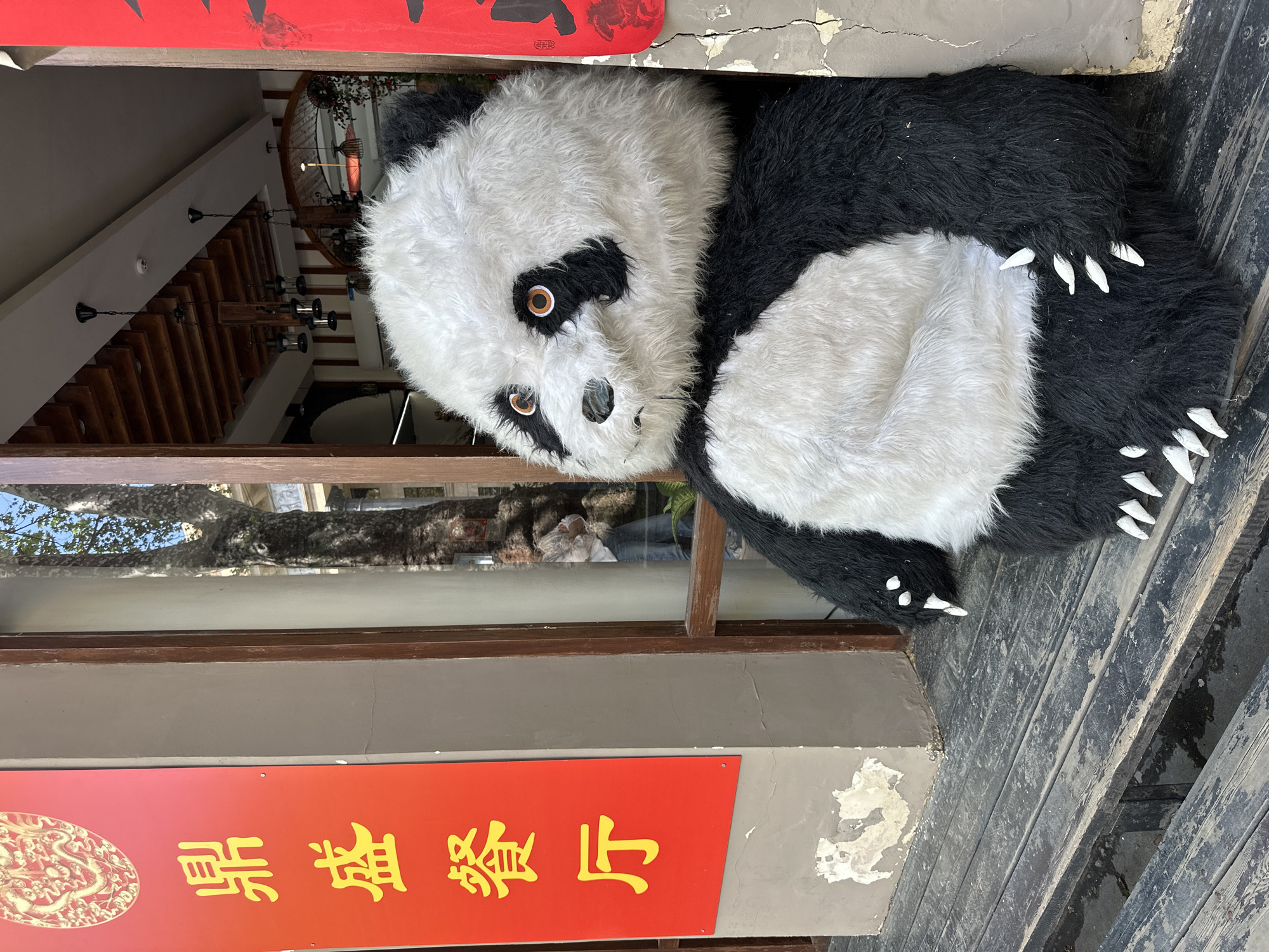 A stuffed panda bear is wedged in the entrance of a building. The panda is black and white and faces the viewer, its head tilted. A red sign with yellow Chinese characters is above and below the panda. Inside the building are wooden stairs and a chandelier. A person in white is visible in the window’s reflection. The location is the city of Tbilisi, Georgia.