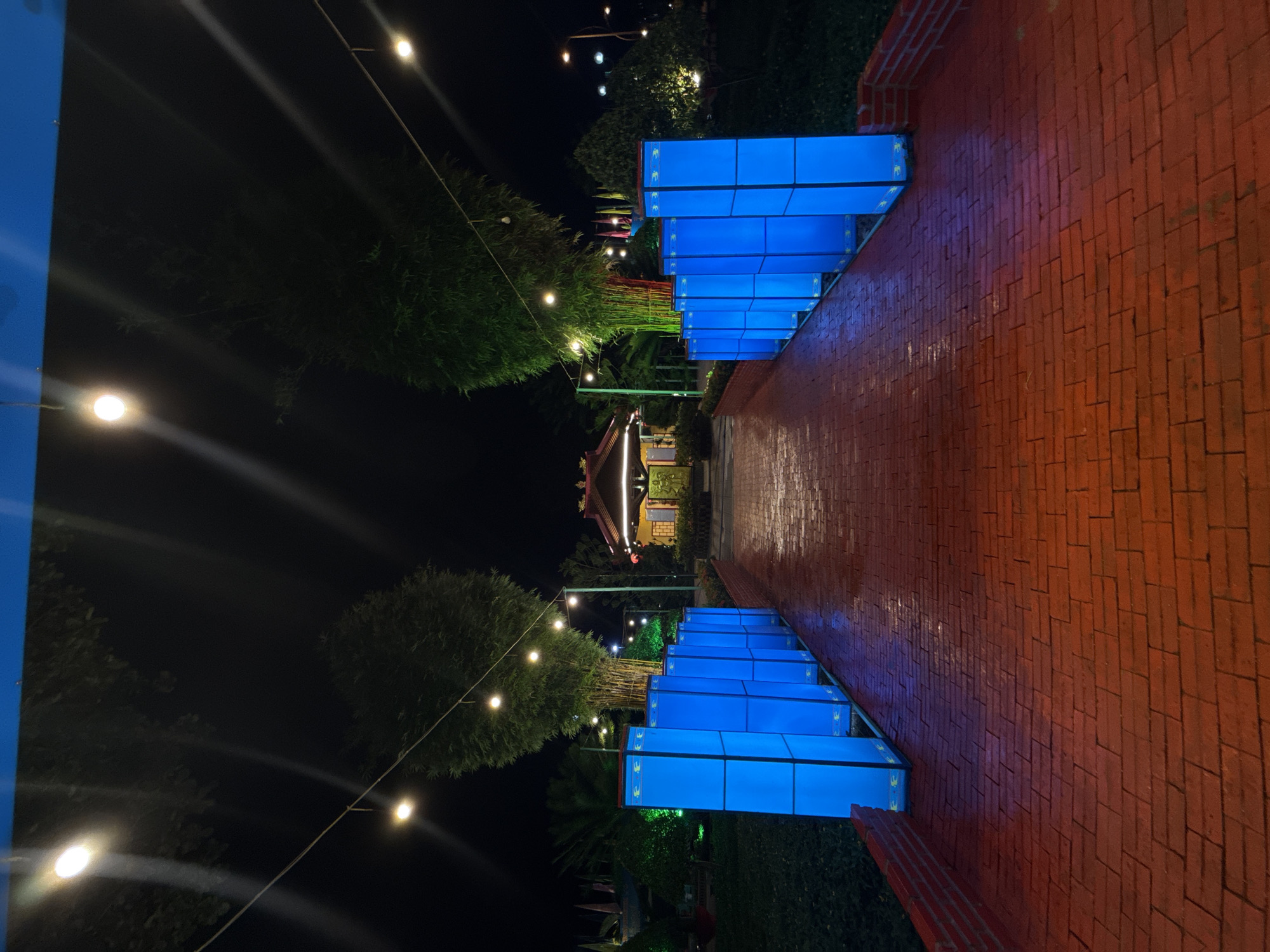 At night in Bac Nha Trang Ward, Vietnam, a brick path leads toward a building. Illuminated blue rectangular structures line both sides of the path. Strings of lights hang from trees. The path appears wet.