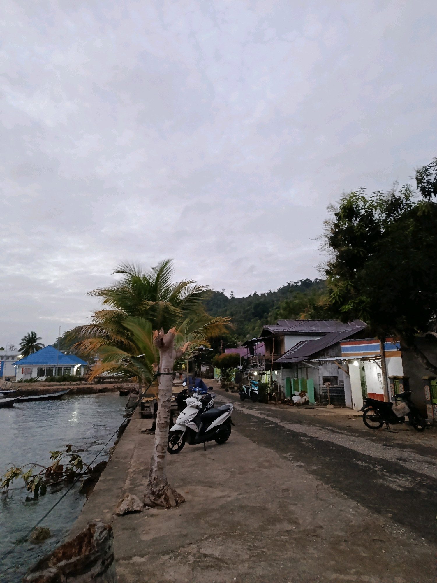 This image captures a coastal scene in Mansalean, Indonesia, characterized by a cloudy sky and a body of water on the left. A concrete embankment runs along the water's edge, with a moored boat visible in the distance. A prominent palm tree stands on the embankment, with its trunk showing signs of age. To the right of the embankment is a paved road, where several motorcycles are parked. A few modest buildings, appearing to be residences or small shops, line the road, their roofs a mix of corrugated metal and tile. Beyond the buildings, a lush, tree-covered hill rises. The overall atmosphere is subdued, likely indicating early morning or late afternoon light. No people are clearly depicted engaging in activity.