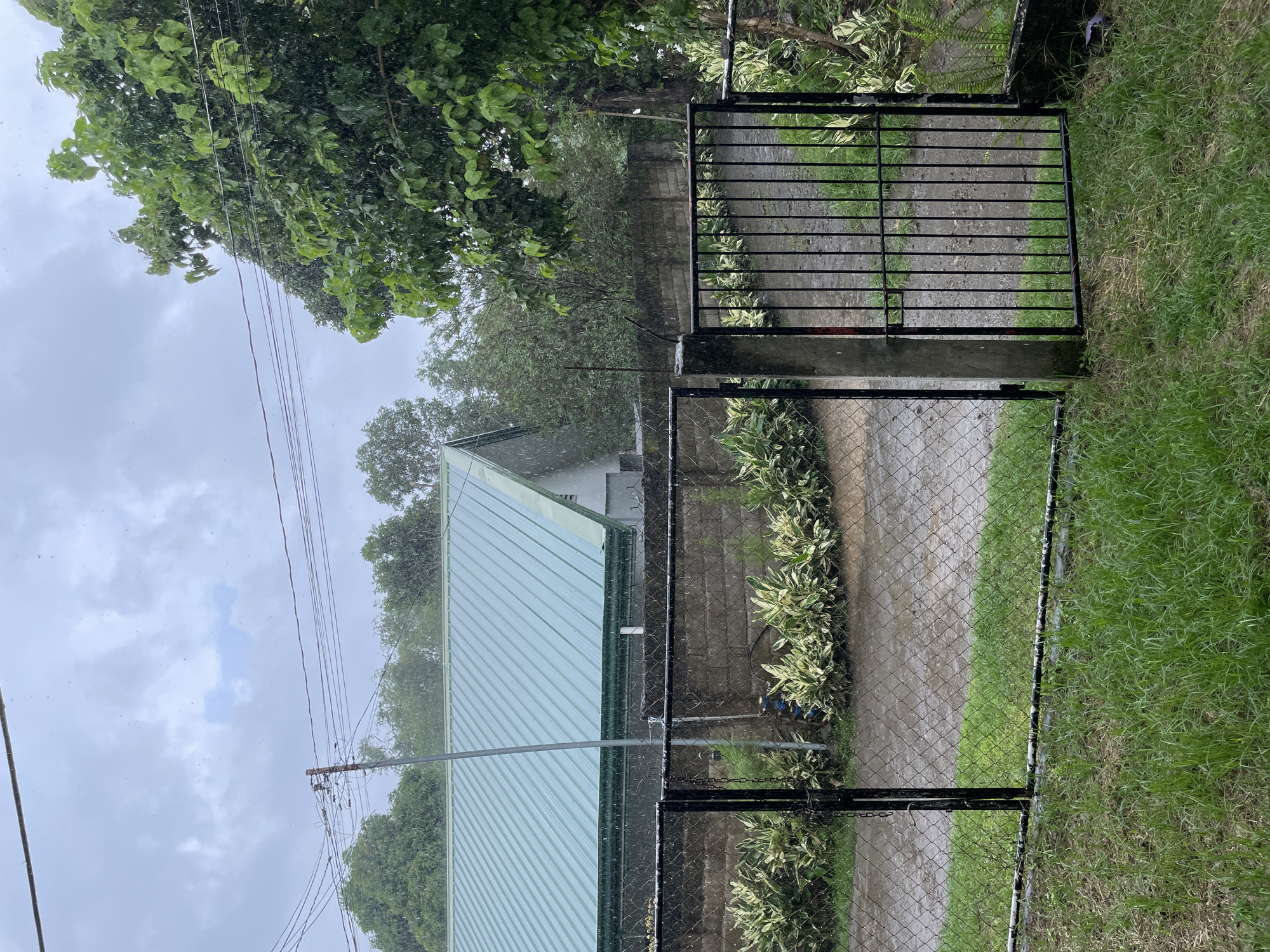 In Bacong, Philippines, on a rainy day, a chain-link fence and a black metal gate stand open, revealing a paved pathway leading to a brick wall. Behind the wall, a house with a green metal roof is visible. Lush green trees and plants surround the area, with raindrops visible falling through the air, suggesting a light shower. The ground is wet, reflecting the overcast sky.
