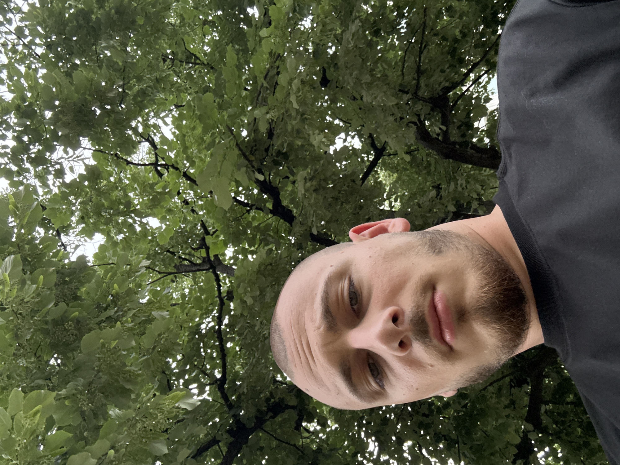 The image displays a close-up, low-angle shot of a man looking directly at the camera, set against a backdrop of dense green tree foliage. The man's head and upper right shoulder occupy the right side of the frame, presented from an unusual, almost inverted perspective due to the shot's angle. He has a short, closely cropped haircut (buzz cut) and a neatly trimmed beard. His expression is neutral to slightly serious, and his eyes are dark. He is wearing a plain black t-shirt or sweatshirt.
The background is dominated by a lush canopy of green leaves and dark tree branches, indicating an outdoor setting, likely under a large tree in a park or urban environment. Bright, diffused light filters through the leaves, suggesting it is daytime, possibly with an overcast sky or indirect sunlight. Small clusters of buds or early flowers are visible among the leaves in some areas of the tree canopy, consistent with a deciduous tree like a linden, which is commonly found in locations such as Stara Zagora, Bulgaria. The image has no visible text. The perspective creates an immersive feeling of being beneath the tree and looking up at both the man and the sky through the leaves.