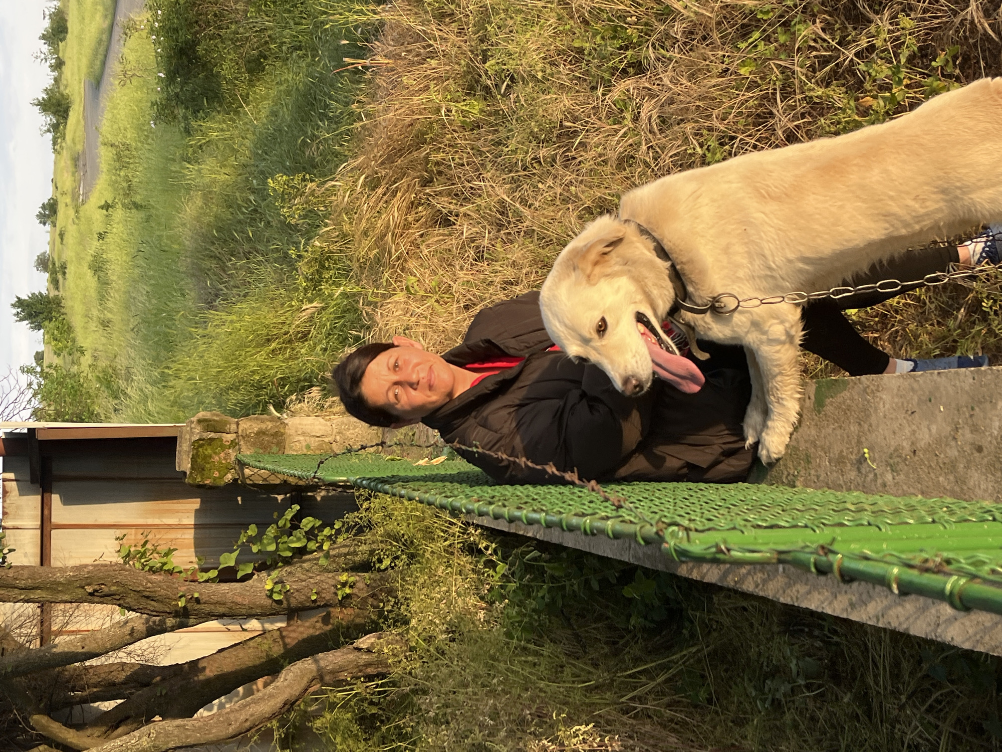 A light-skinned, mature woman, likely in her 50s, lies prone on a green-mesh-covered surface that appears to be part of a concrete structure. She is wearing a black jacket over a red garment, and a dark cap or headband. Her expression is relaxed and she is looking at the camera.
A large, light-colored dog with a long, thick coat is partially resting on the same surface, panting with its tongue extended. The dog is wearing a thick metal chain leash.
The structure is located near foliage, including tall grasses, and appears to be a border or barrier. To the left, a wooden fence and a small building are visible. The background includes a grassy field and a road or path.
Based on the image's description, the location is Valchin, Bulgaria.