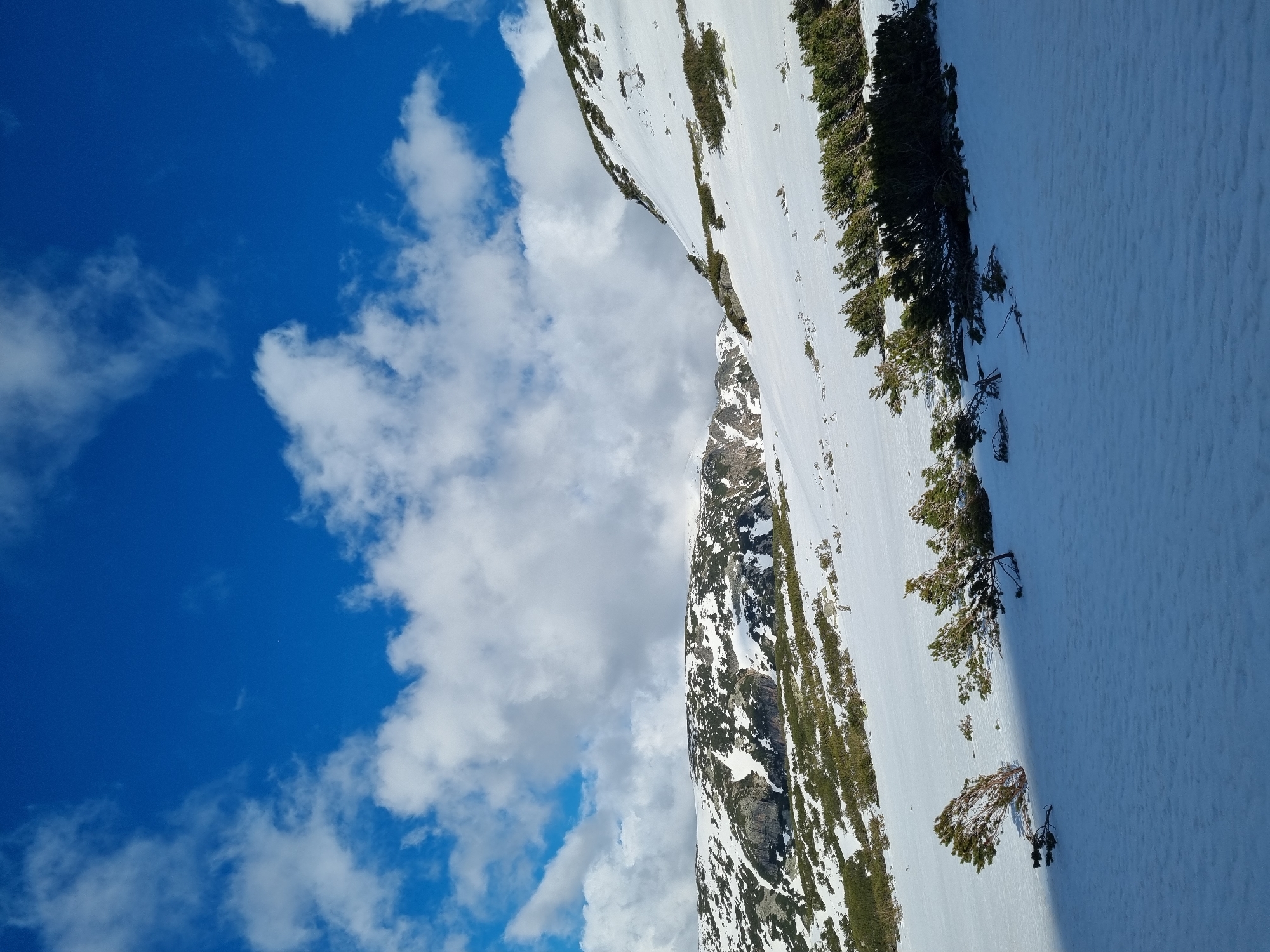 The image shows a mountain landscape in what appears to be a winter setting. The location is Govedartsi, Bulgaria.
On the right side, there is a snow-covered mountain slope with some vegetation, including evergreen trees. Patches of dark rock are visible under the snow. The snow coverage is extensive and seems consistent with a high-altitude environment.
To the left of the mountain, there's a sharp ridgeline of a peak with some bare rock showing through the snow.
To the left of the mountain peak, the sky is visible. It is a bright blue with white clouds. The cloud formation consists of small, puffy cumulus clouds scattered across the sky. The sky is clear and indicates a sunny day.
The overall impression is that of a high-altitude, snowy mountain scene under a clear sky.