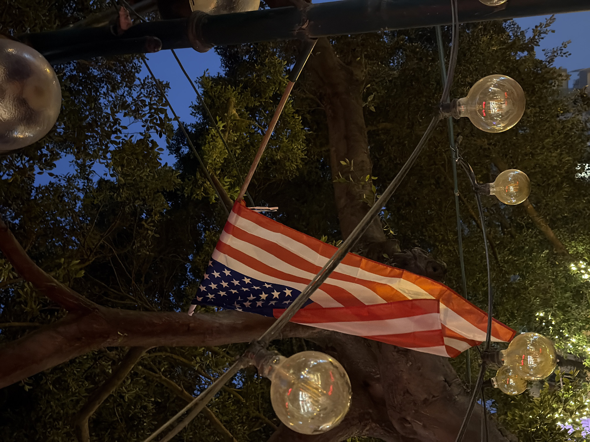 Captured at night in Ramat Gan, Israel, the image features a slightly crumpled United States flag hung amidst illuminated string lights and trees. The flag, displaying the stars and stripes, is centrally positioned, partially obscuring the backdrop of dense foliage. Clear, bulb-shaped lights are strung around the flag, with their internal filaments visible through the glass. The branches of trees, some illuminated by the string lights, create a layered background. The evening sky is visible through gaps in the branches. A portion of a building is visible far in the upper right corner of the scene, but mostly obscured by tree branches.