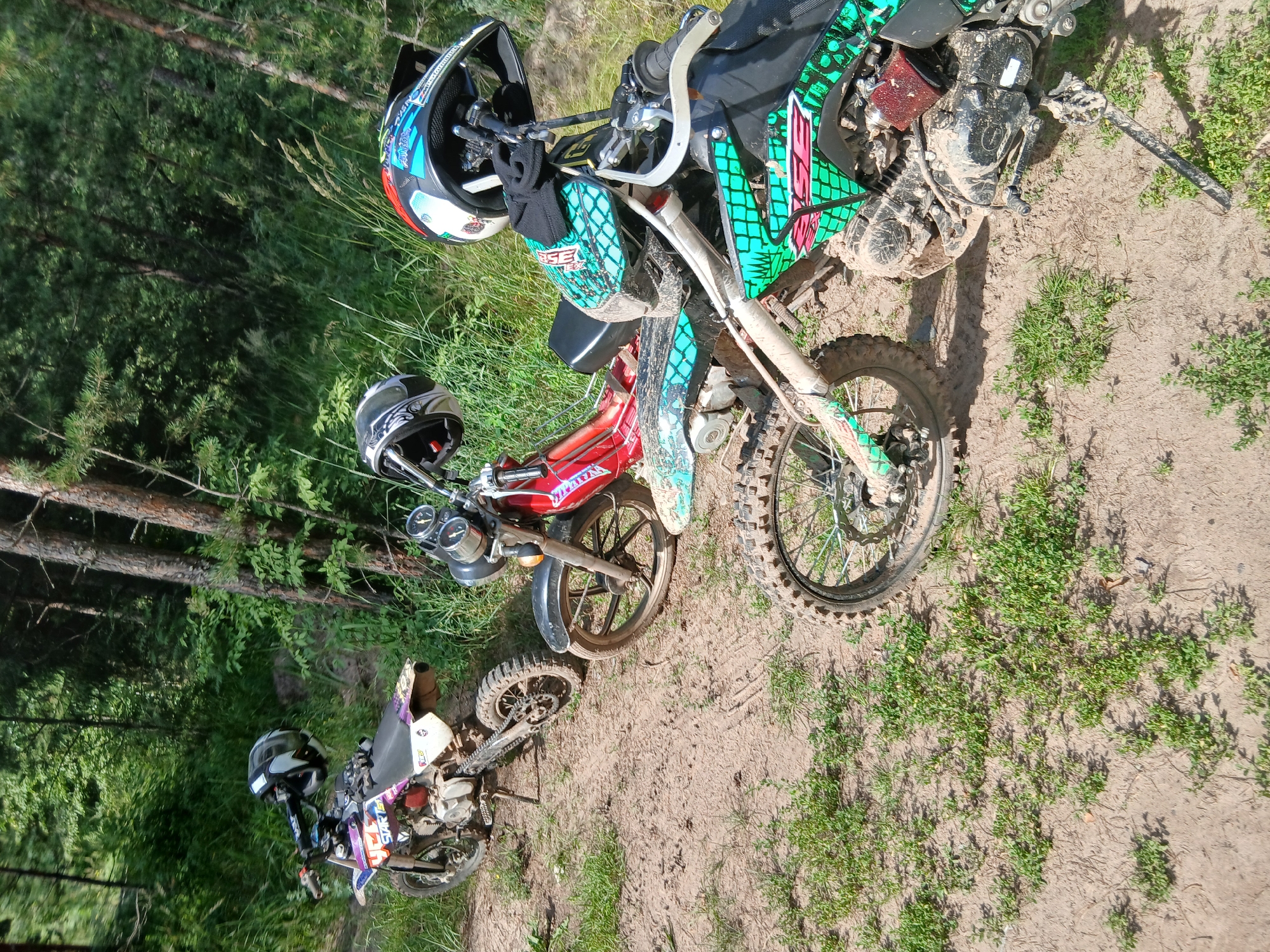 Memory