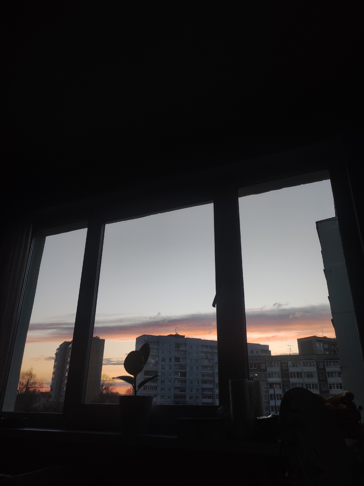The image captures an indoor view looking out of a window during either sunrise or sunset. The interior of the room is almost entirely in shadow, creating a strong silhouette effect for the window frame and objects on the windowsill.
The prominent dark window frame divides the scene into multiple vertical panes. On the windowsill, a potted plant with large leaves is clearly visible as a dark silhouette, standing centrally. Other indistinct objects, also silhouetted, are clustered on the right side of the windowsill, possibly mugs or containers. The upper portion of the image above the window is completely black, indicating a dark ceiling or wall.
Through the window, the sky displays a gradient of colors, characteristic of twilight. The lower part of the sky on the horizon is illuminated with warm hues of orange and pink, blending into purplish clouds, suggesting a vibrant sunset or sunrise. Above this, the sky transitions to a softer, clear grey-blue. Several multi-story residential buildings, consistent with apartment blocks, are visible in the distance, partially silhouetted against the colorful sky and partially catching the fading light. Their architecture hints at a post-Soviet context, aligning with the Chaikovsky, Russia location. Sparse, bare trees or shrubs can be seen between the buildings on the left, indicating a season like late autumn or early spring.
No people are visible, and there is no discernible activity taking place. The scene conveys a quiet, contemplative atmosphere, focusing on the transition of daylight. There is no visible text in the image.