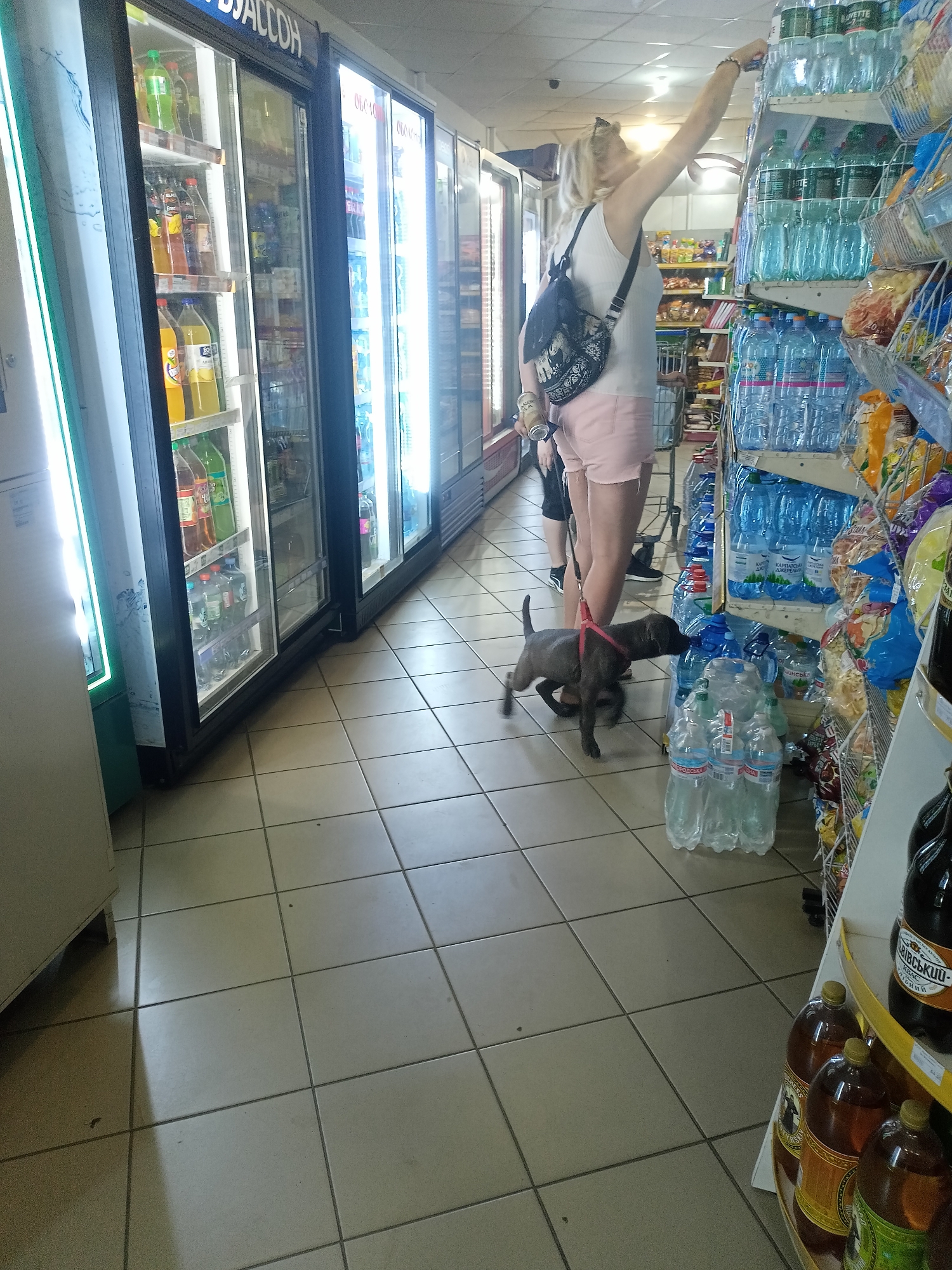 The image depicts a woman and her dog inside a store, possibly a convenience store or small supermarket, located in Bilhorod-Dnistrovskyi, Ukraine. The store features several refrigerated display cases stocked with beverages, and shelving units filled with bottled water and snacks. The woman, with blonde hair, is wearing a white tank top and pink shorts, and is reaching for a bottle on a shelf. She has a backpack slung over her shoulder. Her dog, a dark-colored short-haired breed, is on a leash and is sniffing at bottles on the floor. The floor is tiled with light-colored square tiles. The lighting in the store appears to be a mix of overhead fluorescent lights and the illumination from the display cases. The overall environment suggests a typical retail setting.