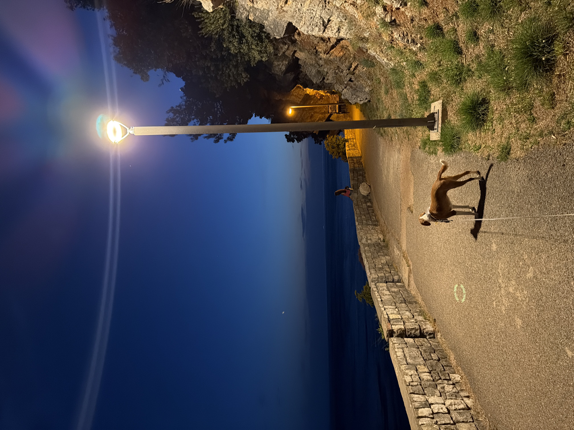Captured at night in Mirište, Montenegro, the image reveals a paved walkway bordered by a low stone wall, beyond which lies a body of water under a dark blue sky. A dog, leashed, stands on the walkway, casting a shadow. Overhead, a lit streetlight illuminates the path and the dog. In the background, a second, more distant streetlight can be seen in a small, dark passage leading uphill. Along the opposite side of the walkway, the land rises with vegetation growing along the slope. The scene is tranquil, with the focus on the dog and the contrasting lights against the dark sky and sea.