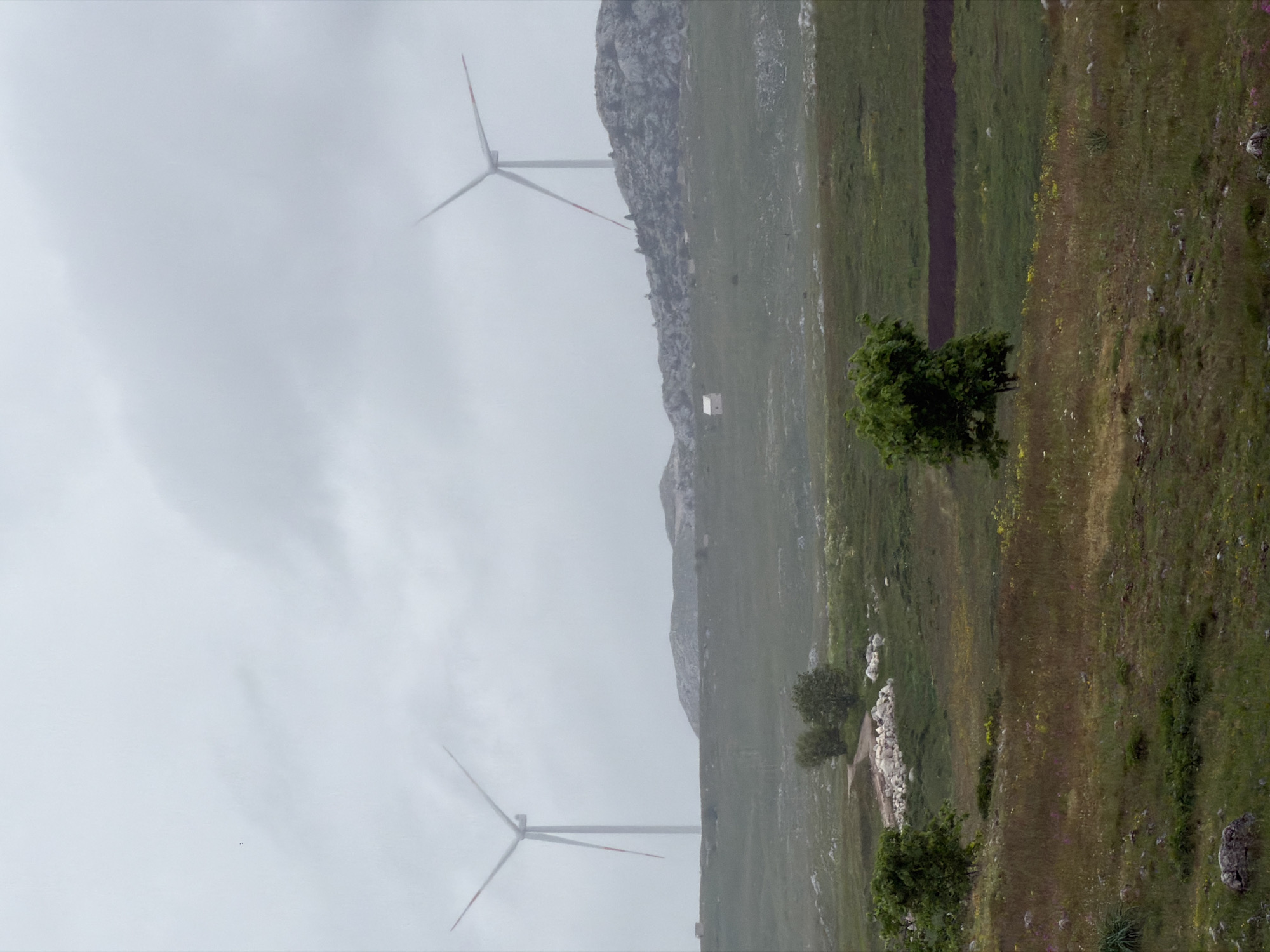 The image displays a sprawling, natural landscape in Konjsko, Montenegro, characterized by rolling hills, rocky outcrops, and vast grassy plains under a heavily overcast sky. The overall lighting is soft and diffused, indicating a cloudy or potentially foggy day.
Two large wind turbines are prominent features. One stands tall in the mid-ground on the left, its white mast supporting long blades with distinct red tips. A second, somewhat smaller wind turbine is visible further in the distance towards the lower-left corner, also with red-tipped blades.
On the right side, a substantial rocky mountain range or large hill forms a rugged backdrop. Below it, the landscape transitions into expansive plains covered in various shades of green and brown grass, interspersed with scattered rocks and patches of wildflowers, some appearing yellow and purple. A small, white rectangular structure, possibly a utility building, is nestled near the base of the rocky hill. In the foreground on the right, a solitary, bushy green tree stands, with other smaller shrubs appearing further back. A track or path, seemingly made of lighter stones, cuts across the grassy terrain in the mid-ground.
No people or animals are visible, and no specific activity is depicted, presenting a tranquil, natural environment that incorporates modern renewable energy infrastructure. There is no visible text in the image.