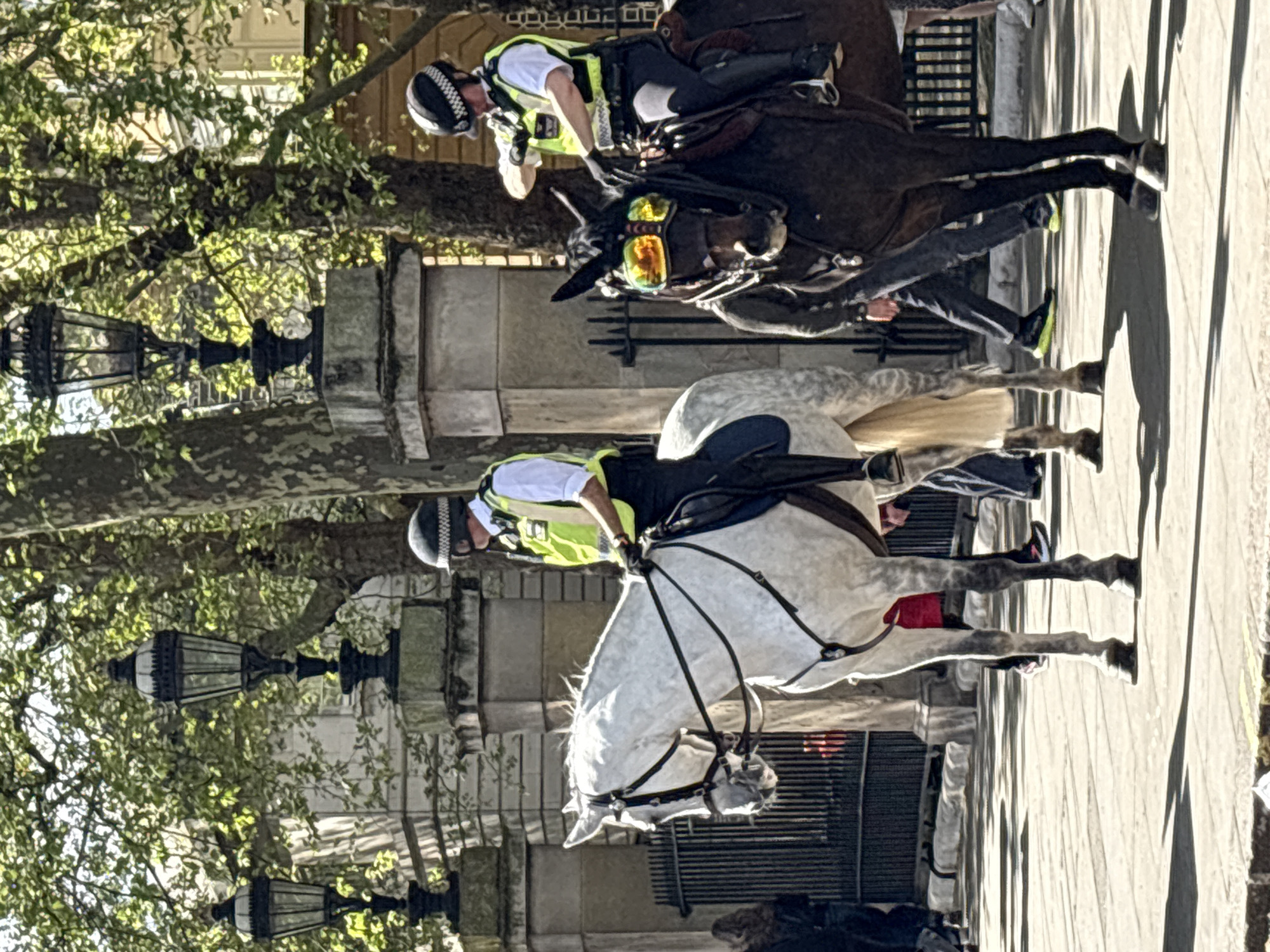 The image depicts two mounted police officers riding horses on a paved street in London, United Kingdom. The officers wear helmets and high-visibility vests. One horse is gray, and the other is brown, both wearing riding gear. Pedestrians are visible in the background. Streetlamps and trees line the street. The image appears to be taken on a sunny day.
