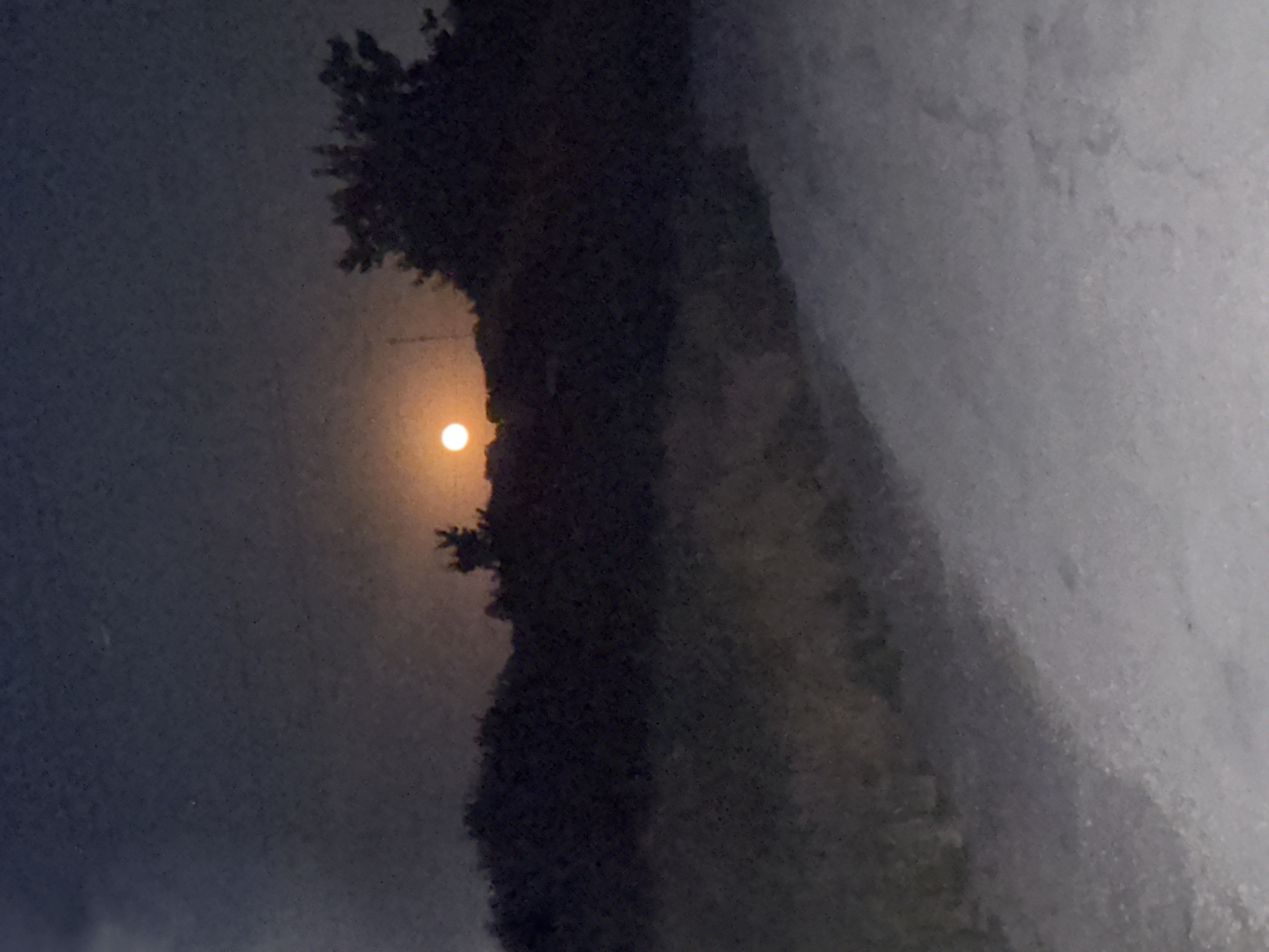 The image depicts a nighttime or twilight scene with a bright, round object, likely the moon or a distant light source, visible in the upper central portion of the frame. It is surrounded by a dark, silhouetted landscape of trees and foliage. A path or road, appearing to be unpaved and uneven, occupies the lower half of the image and slopes upwards towards the horizon. The overall atmosphere is dim and somewhat hazy, with a grainy texture throughout the photograph. There are no people or animals visible in the scene. The location is identified as Petrykivka, Ukraine.