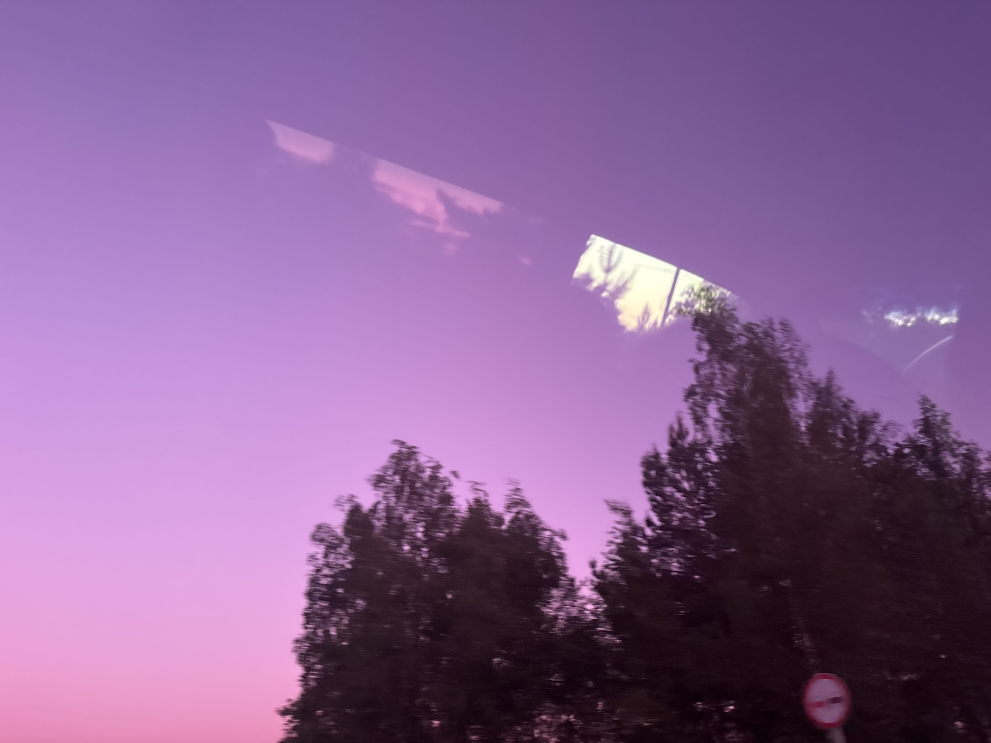 The image appears to be taken from inside a vehicle, looking out at a scene in Новоникольское, Russia at dusk or dawn. The sky is a vibrant purple hue. Trees with dark foliage occupy the lower portion of the frame. A traffic sign, possibly a no-entry or restricted access sign, is visible near the bottom right corner. A reflection of the scene outside can be seen on a window surface at the top of the image, adding layers of light and shapes. The image is slightly blurred, suggesting motion or a shaky camera.