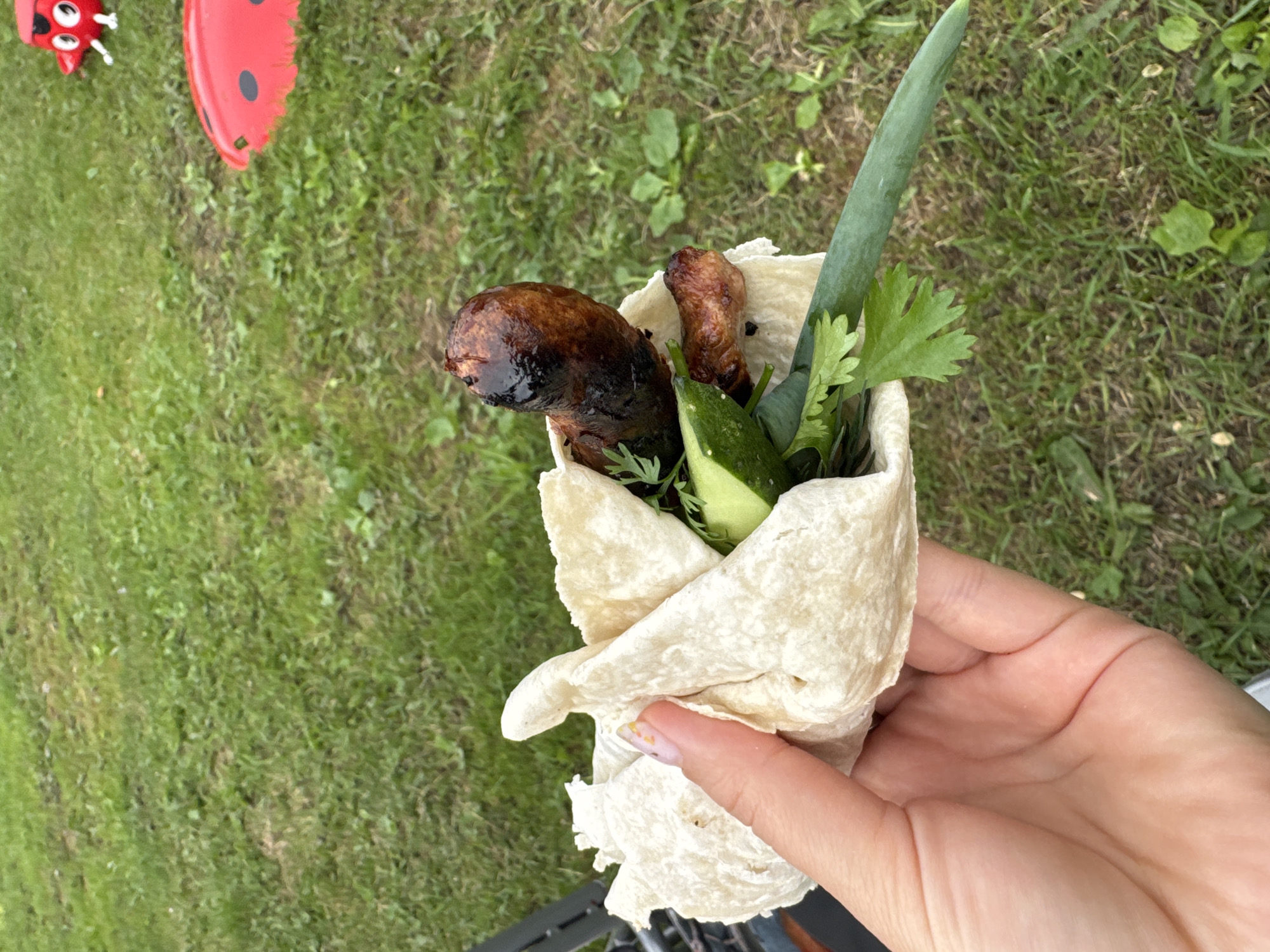 A hand holds a wrap containing a grilled sausage, cucumber slices, and green onions against a background of green grass. In the upper right corner of the image, a red ladybug-themed toy is visible on the grass. The overall scene suggests an outdoor setting, possibly a park or backyard. There is no specific information in the image that places it in the city of Прикамский, Russia.