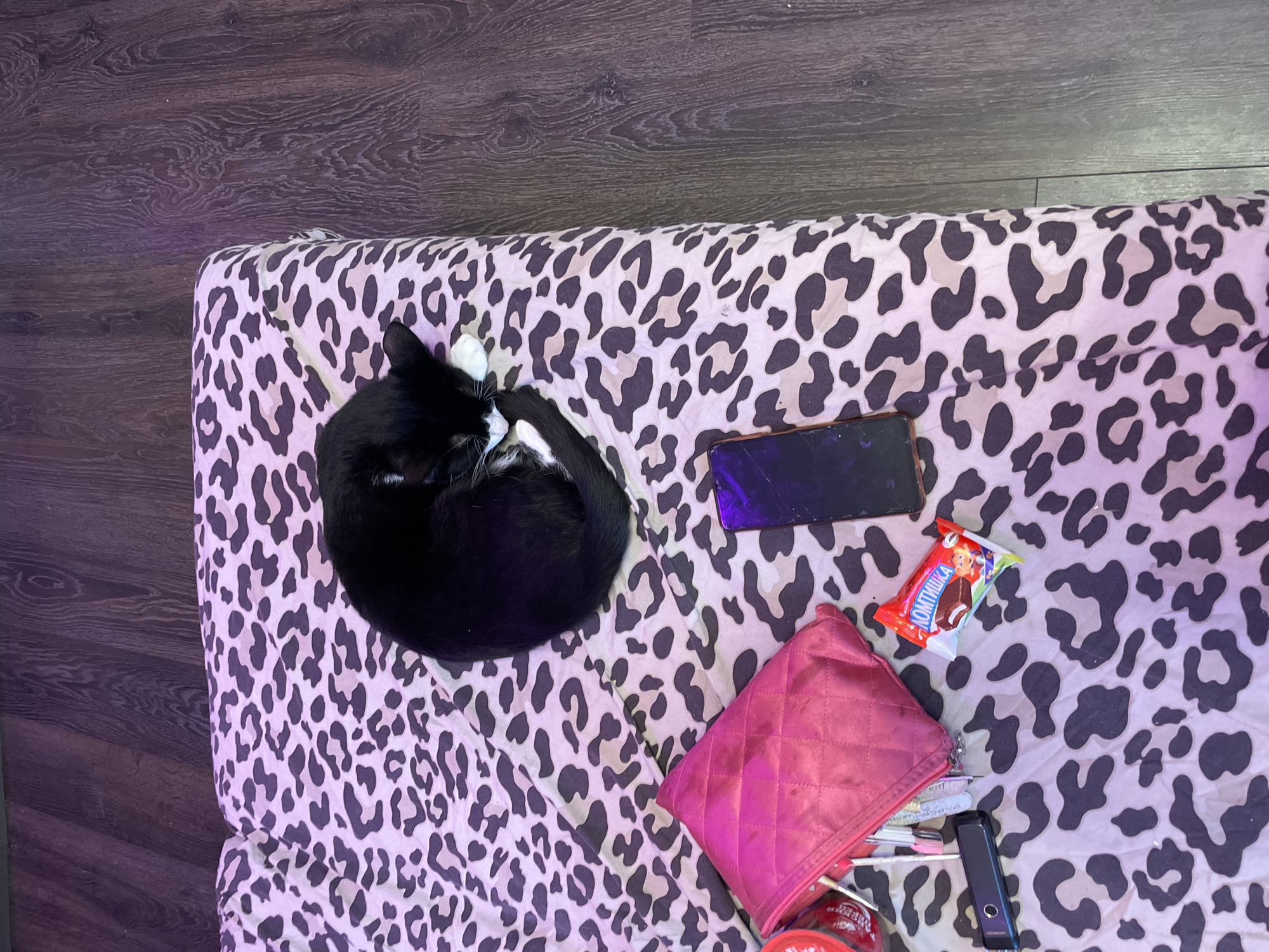 A black and white cat sleeps curled up on a leopard-print blanket. Next to the cat, on the blanket, are a smartphone, a small bag, a candy bar, and what appears to be a makeup brush and nail file. The blanket is on a bed, and the bed is on a wooden floor. The scene is likely indoors, possibly in a bedroom. The lighting suggests it may be nighttime, with artificial light casting a purple hue. The location is Ladozhskoe Ozero, Russia.