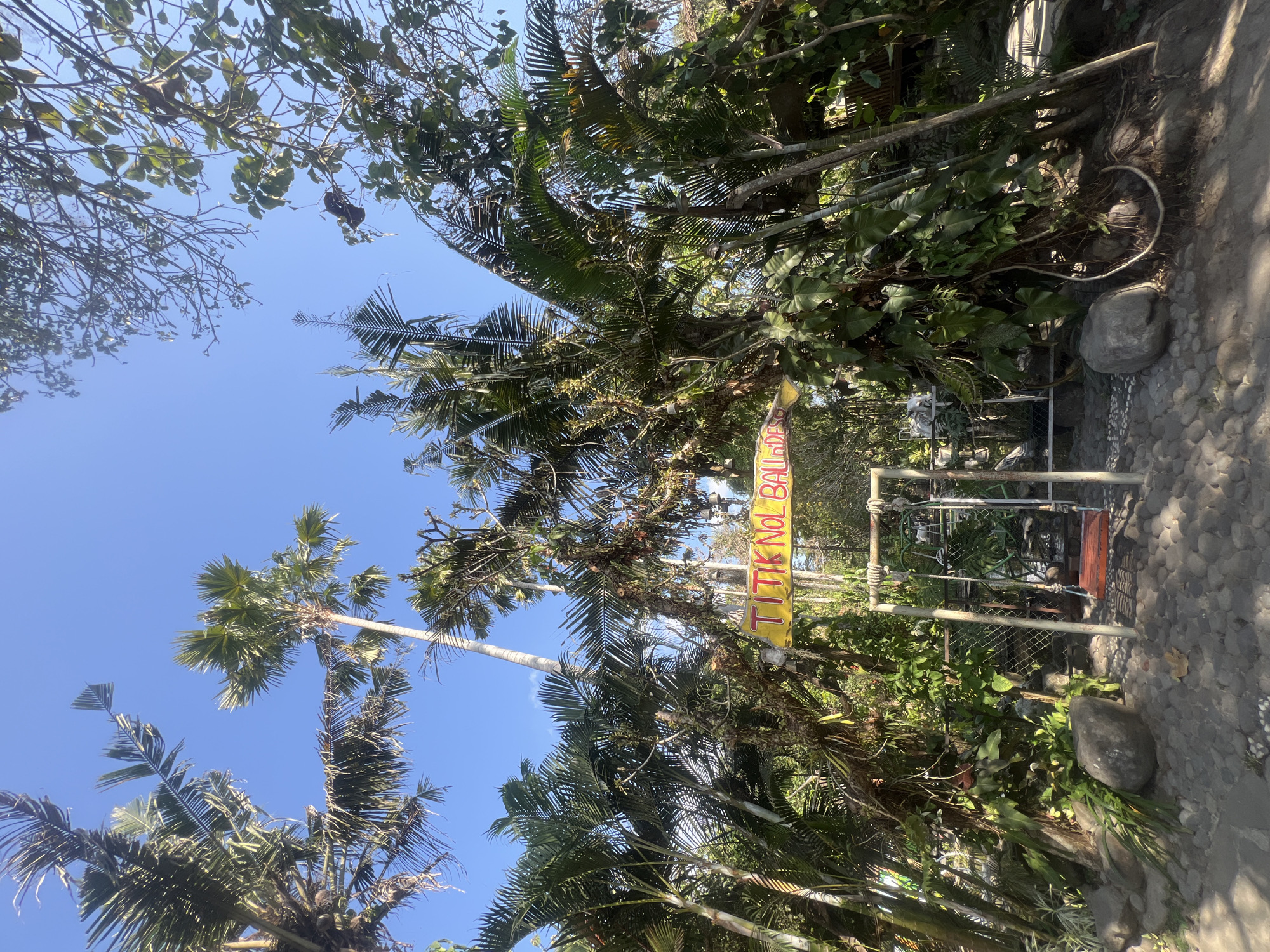 In Tlogoadi, Indonesia, an outdoor scene is depicted under a clear blue sky. Lush, dense tropical foliage, dominated by various palm trees, creates a vibrant green canopy. Hanging vines and smaller leafy plants further contribute to the verdant atmosphere. A yellow sign with red lettering, reading "TITIK NOL BALI DESA," is suspended between two trees. In front of the sign, a metal swing set with a red seat is present, positioned on a ground covered with grey gravel and scattered stones. To the right of the swing set, a chain-link fence is visible, and beyond it, a glimpse of a wooden structure, possibly a small building or gazebo, can be seen. The overall impression is of a natural, somewhat wild, tropical setting with a playful element provided by the swing.