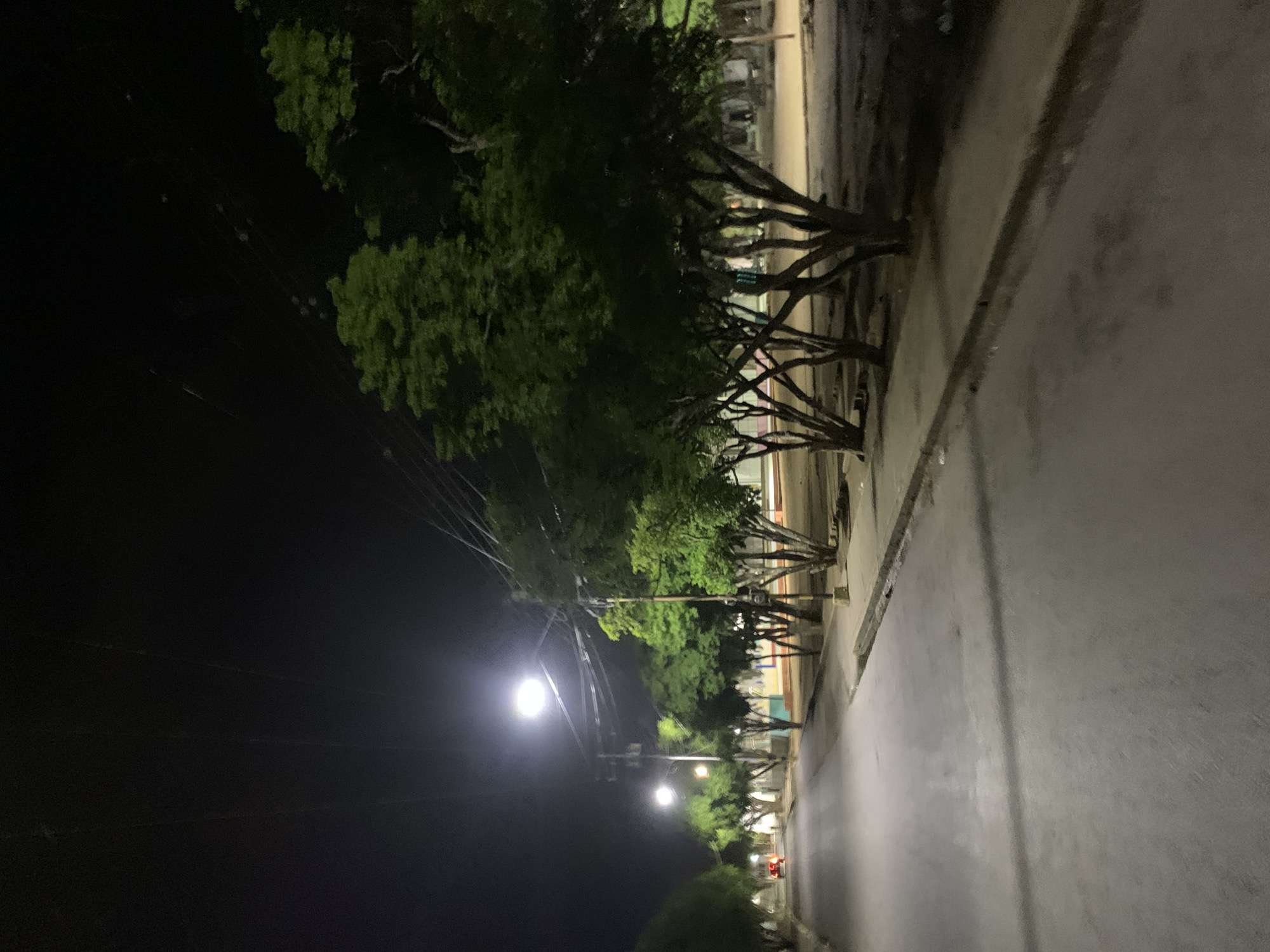 The image captures a nighttime street scene, oriented such that a paved road surface runs diagonally from the lower right foreground towards the upper right background.
**Subjects:** A prominent row of trees with dense, green foliage and distinctive, intertwining branches lines the immediate edge of the road. To the left side of the frame, several bright streetlights emit strong white glows, creating lens flares and illuminating parts of the tree canopy and the street below. Faint utility lines or power cables are visible against the dark sky, spanning across the left portion of the image. The road itself appears dark and possibly damp, reflecting some of the ambient light. In the distant background, beyond the trees and across the road, vague outlines suggest buildings or structures, dimly lit and indistinct.
**Activity or event taking place:** The scene is static, with no discernible activity or presence of people or vehicles, conveying a sense of quiet stillness.
**Notable details:** The time of day is clearly night, characterized by the dark sky and the reliance on artificial street lighting. The streetlights provide the main source of illumination, creating bright spots and casting deep shadows. The green color of the tree leaves is notably vibrant under the artificial light. The weather appears clear, with no visible precipitation or fog. The location is specified as Santa Ana, Venezuela, although no specific landmarks are visible within the frame. The overall mood is peaceful and tranquil.
**Visible text:** There is no visible text within the image.