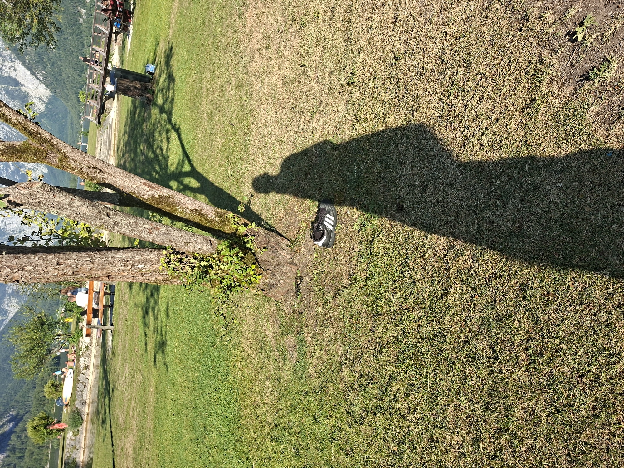 The image depicts a sunny outdoor scene in Hallstatt, Austria, likely near the lake. In the foreground, a single black and white Adidas sneaker rests on dry grass near the base of a tree. The shadow of the photographer, a human figure, stretches across the grass from the left side of the frame, its elongated shape indicating a low sun angle.
In the mid-ground, a grassy area leads to a stone embankment along a body of water, presumably Hallstatt Lake. A wooden bench is situated on the embankment, occupied by a person wearing a white shirt and dark shorts, facing away from the camera. A few other people are visible in the distance, some near the water's edge and others on a wooden bridge that spans across the water. Trees and lush green foliage dot the landscape, with a mountainous backdrop characteristic of Hallstatt. The overall impression is of a peaceful, recreational area on a clear day.