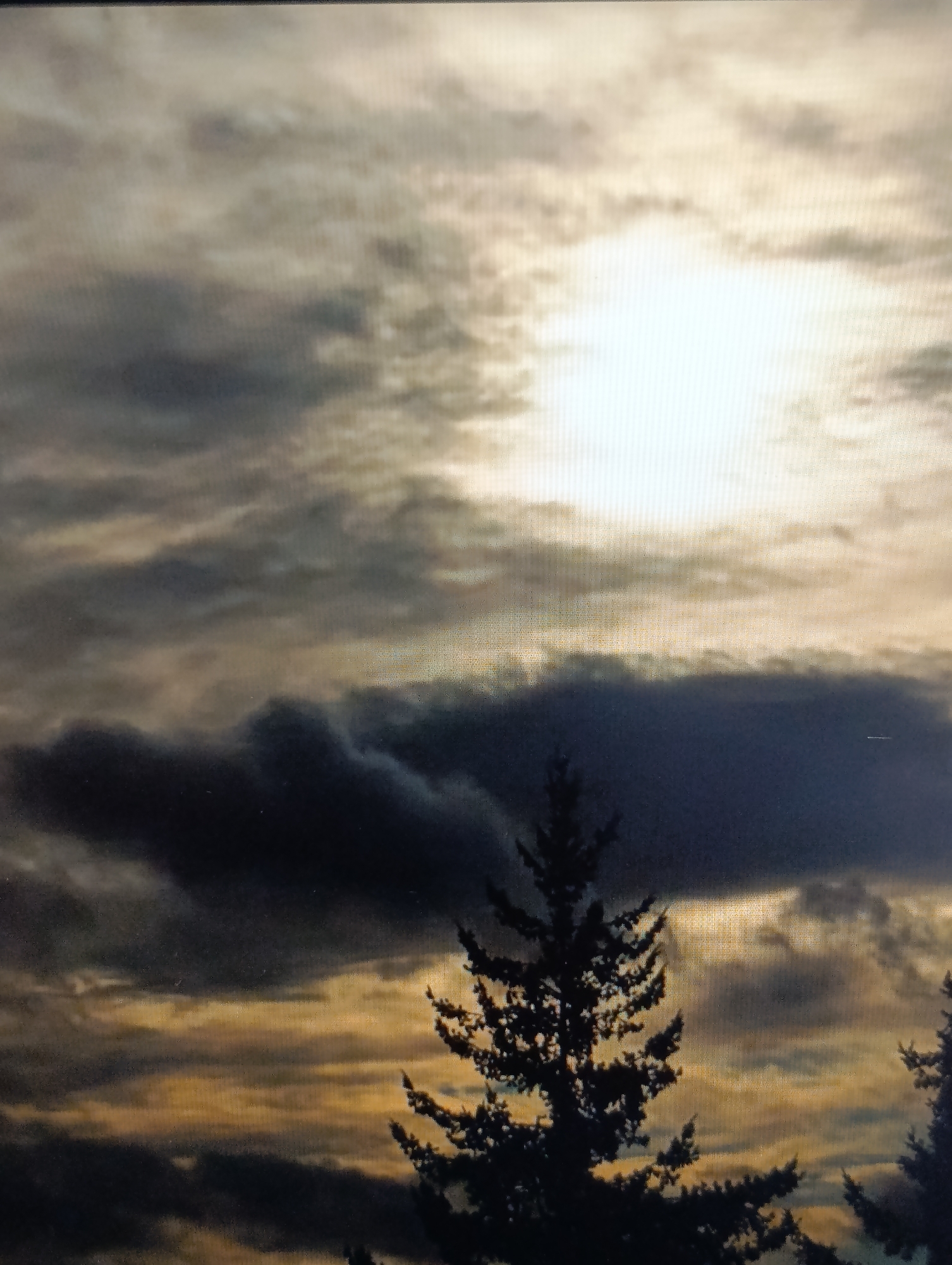 The image depicts a dramatic sky scene, likely taken at dusk or dawn, over the town council of Dubăsari, Moldova. The sky is filled with a mix of dark, heavy clouds and lighter, more ethereal formations. A bright, diffused light source, presumably the sun, is visible through a break in the clouds, casting a warm, golden glow on the upper portion of the sky. In the foreground, silhouetted against the sky, are the tops of coniferous trees. The overall atmosphere is one of a transition in weather, with a brooding intensity in the lower clouds and a hopeful brightness in the upper sky. No people or specific structures are clearly identifiable, aside from the hint of trees suggesting a natural or semi-rural setting within the town council's jurisdiction.