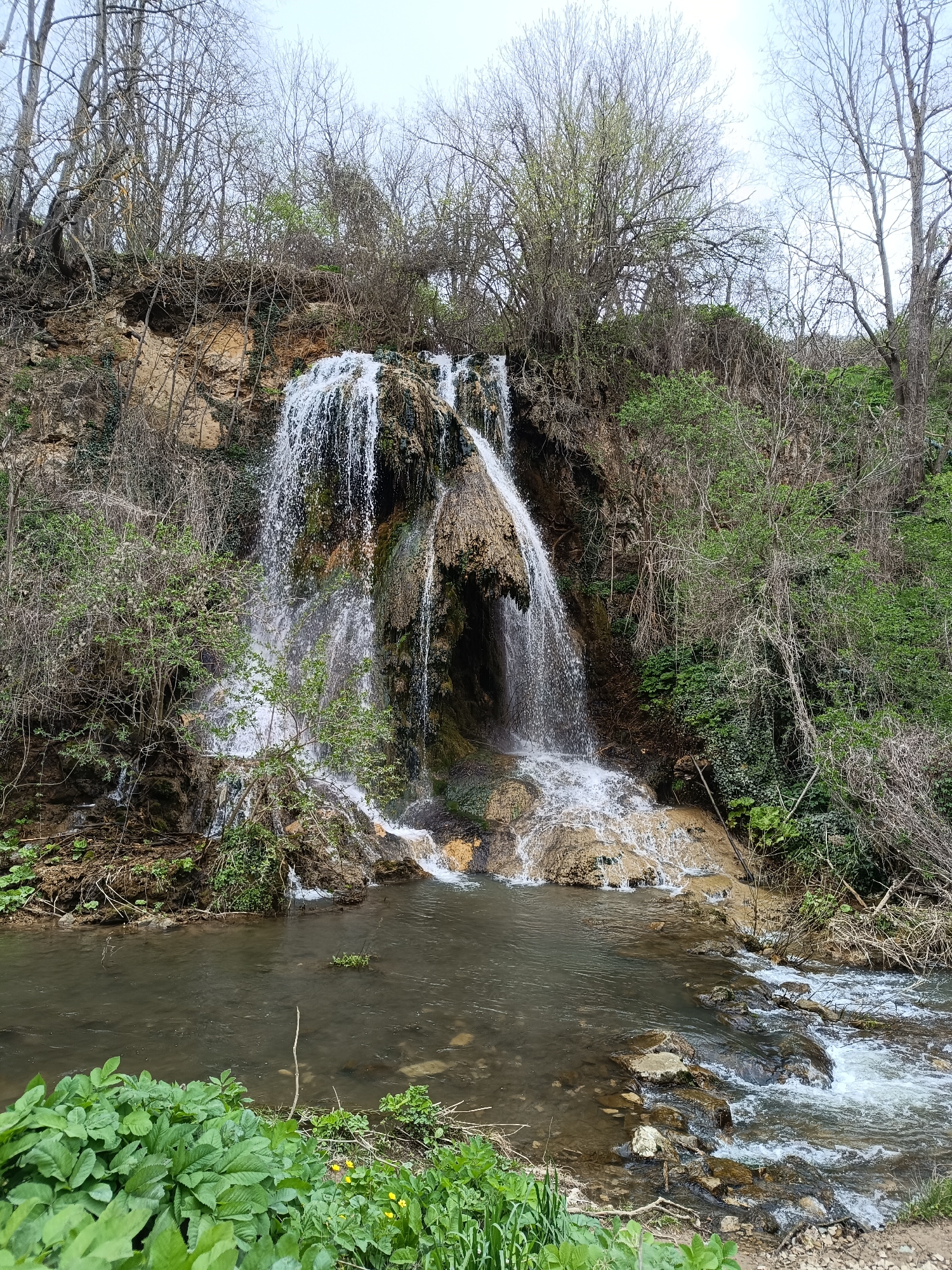 The image depicts a waterfall in Paidushko, Bulgaria. The waterfall cascades down a rocky cliff covered in moss and vegetation, forming a pool at its base. Bare trees and bushes surround the waterfall and the cliff, creating a natural setting. The pool flows into a stream with visible rocks and vegetation. The sky is overcast.