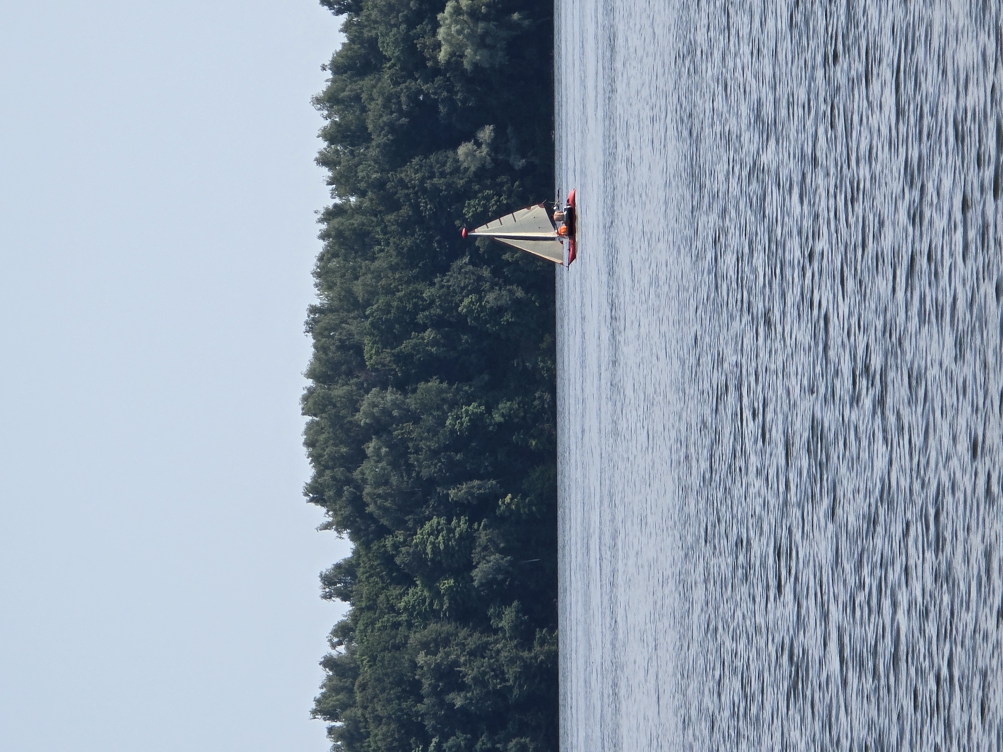 A sailboat with a red hull and a tan sail navigates across a calm body of water. The sailboat has two people on board, one of whom is steering. In the background, a dense line of green trees forms the shoreline, extending horizontally across the image. The sky above is a pale, clear blue. The scene appears to be a tranquil natural setting, possibly near a forested area.