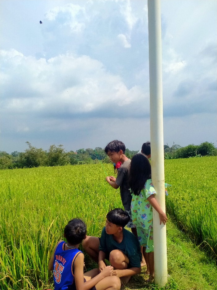 Five children gather by a tall white post in a field of rice. One child, wearing a blue jersey, sits on the ground, back to the camera. Two others are kneeling in front of him. Another boy stands looking toward the sky, where a kite flies. A girl in green pajamas stands beside the post. The field extends to the horizon, where trees line the edge, and the sky is partially cloudy.