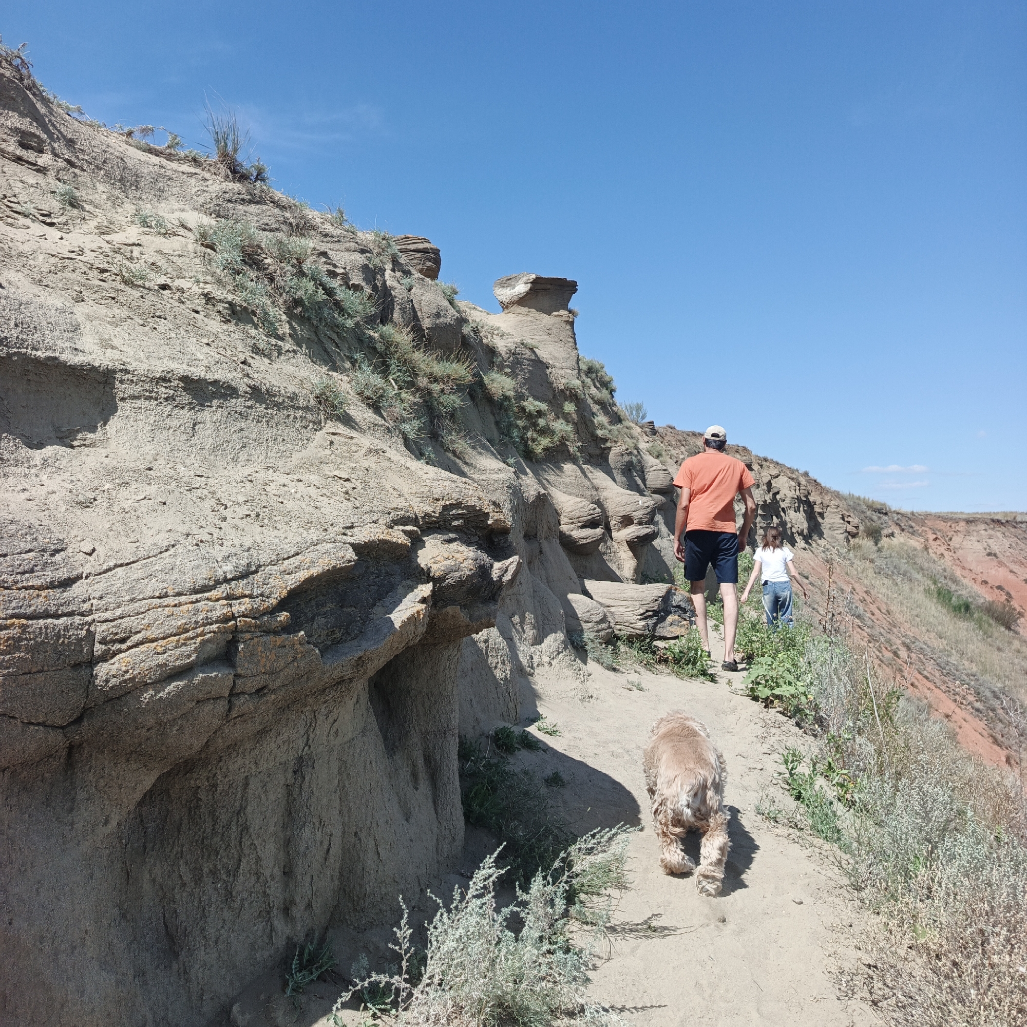 This is a photograph of a scenic hiking trail in the city of Михайловка, Russia. The trail winds along a cliff face with distinct geological formations, characterized by layered rock and sparse vegetation. The sky above is a clear, bright blue. In the foreground, a man wearing an orange t-shirt and dark shorts, and a younger person in a white t-shirt and blue jeans, are walking along the path. A light brown dog, possibly a Cocker Spaniel, is walking ahead of them, facing away from the camera. The path appears to be made of sand and dirt, with low-lying green and dry scrubby plants growing on either side. The landscape suggests a semi-arid environment with rolling hills and eroded cliffs.