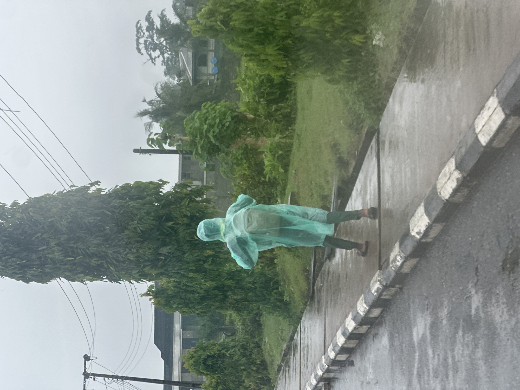 In a slightly overcast outdoor scene, a person wearing a translucent mint-green raincoat walks on a wet sidewalk next to a road. The raincoat has a hood covering the person's head, and they appear to be wearing dark-colored pants and open-toed footwear. The sidewalk is bordered by a kerb with alternating black and white stripes. The road surface is wet, indicating recent or ongoing rainfall.
Behind the sidewalk, a patch of lush green grass leads to a dense line of trees and foliage. In the background, there are glimpses of buildings and what appear to be utility poles with overhead wires. The sky is a uniform grey, suggesting cloudy weather. The overall impression is one of a rainy day in an outdoor environment. The image conveys a sense of movement as the person walks, possibly to seek shelter or reach a destination despite the weather. No text is visible in the image. The context provided places this scene in Badagry, Nigeria.