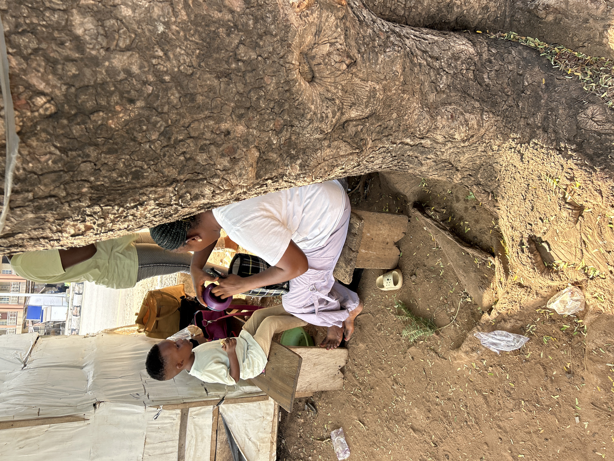 In Adankolo, Nigeria, the image shows a scene situated at the base of a large tree. An adult in a white shirt and light-colored pants is crouched down, focused on some objects. A child, wearing a light-colored shirt, is sitting on a wooden structure nearby. Several bags, including one brown and one burgundy, are positioned near the child. The ground consists of dirt and scattered foliage. A white structure appears in the background.