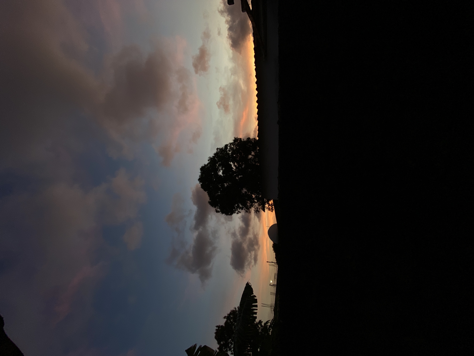 The image depicts a sunset in Juan Griego, Venezuela. The sky is a mix of blue, gray, and pink clouds, with a bright orange glow near the horizon. A tree is silhouetted against the sunset. In the foreground, the right side of the image is dark, possibly due to a building or hill obscuring the view. The location is recognizable by the combination of the sky, vegetation, and potential proximity to the coastline of Juan Griego.