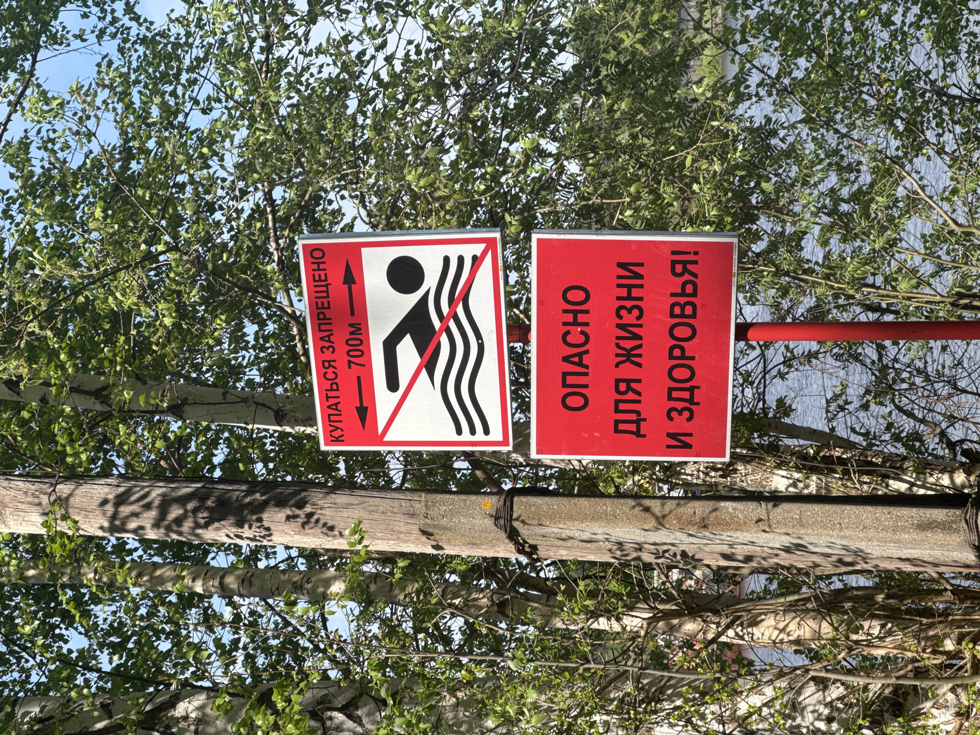 The image shows two red and white signs on a red pole, attached to a wooden post with wires, in front of trees with green leaves and white trunks. The sign on the left has an image of a person swimming with waves, crossed out with a red line, and text in Russian that translates to "Swimming is prohibited - 700m" with an arrow. The sign on the right has text in Russian that translates to "Dangerous for life and health!". The image was taken near the Kama River in the city of Perm, Russia.
