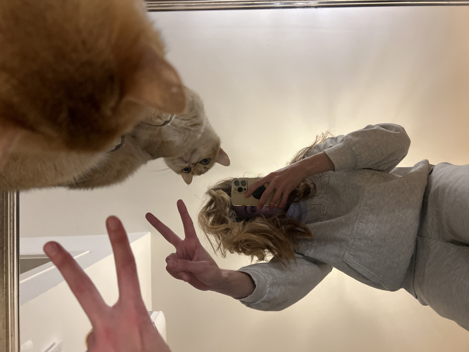 A woman, clad in a gray sweatsuit, captures a selfie in a mirror. She flashes a peace sign with one hand, while holding a smartphone with the other. A large orange cat looms into the frame, peering down from the top of the mirror with green eyes. Its head partially obscures the woman's face. The mirror's frame is visible around the edges. The room appears simple and uncluttered.