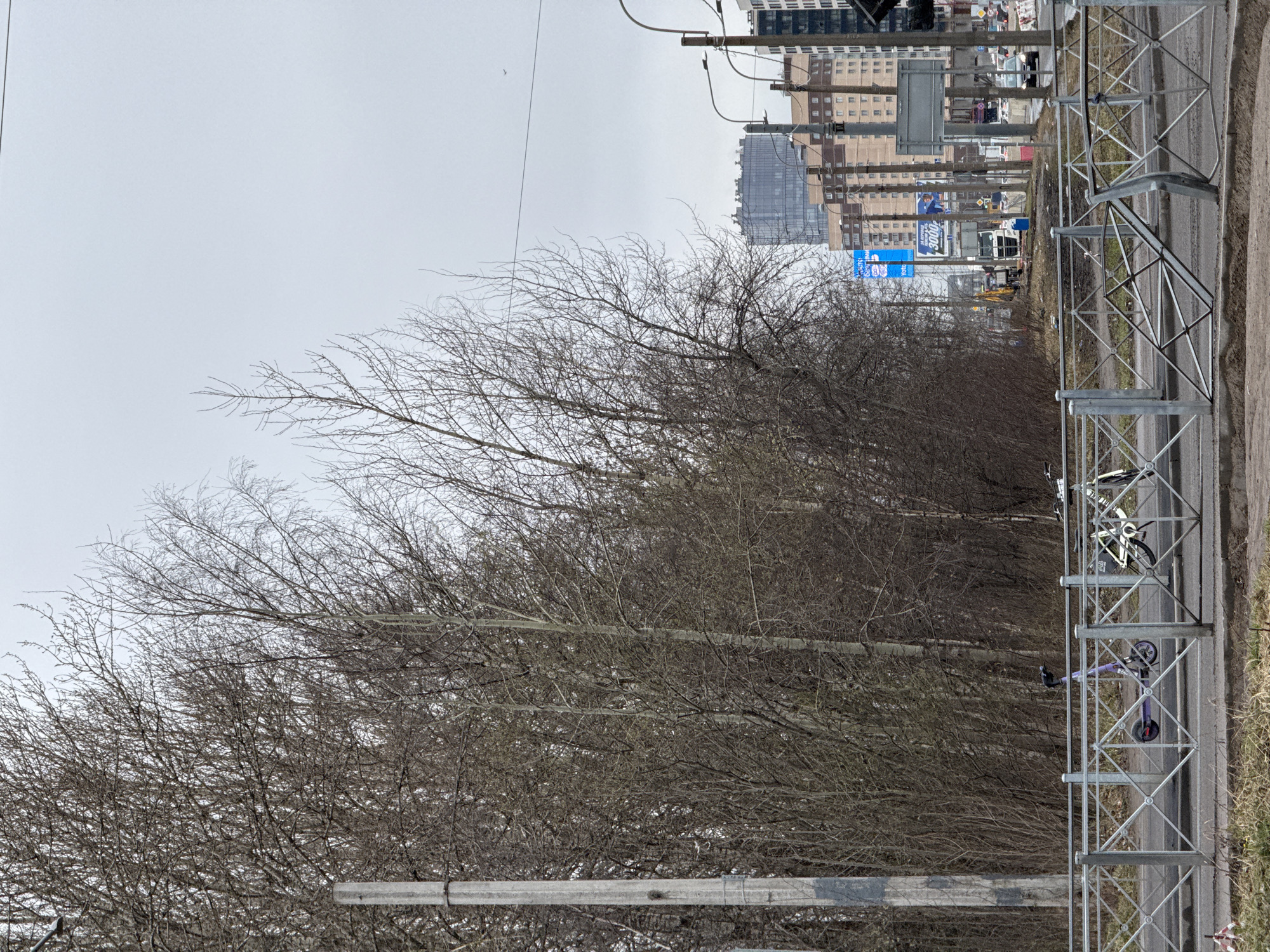 The image depicts a street scene in Saint Petersburg, Russia. In the foreground is a row of bare trees lining a roadside with a metal guardrail. Behind the trees, commercial buildings and billboards are visible. A scooter and bicycle are parked near the guardrail. The sky is overcast. Construction activity is taking place in the background.