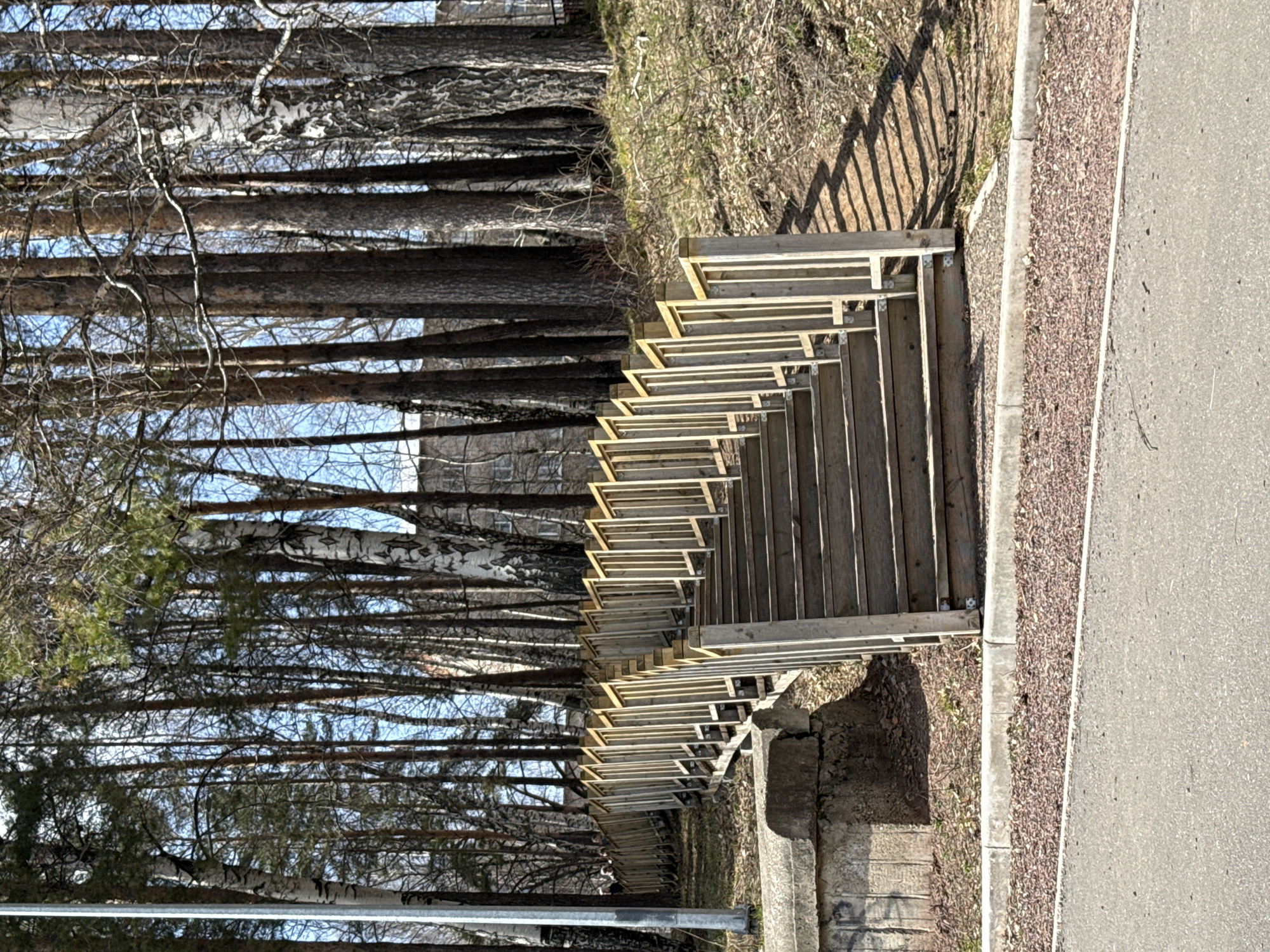 The image shows an upward view of a wooden staircase leading uphill, located adjacent to a paved walkway in a wooded area. The staircase is constructed of light-colored wood and has open risers. The surrounding woods consist of deciduous trees with bare branches, some with distinctive white bark, indicative of birch trees. The ground cover is a mix of dry grass and fallen leaves. The image may be taken in Chaikovsky, Russia.