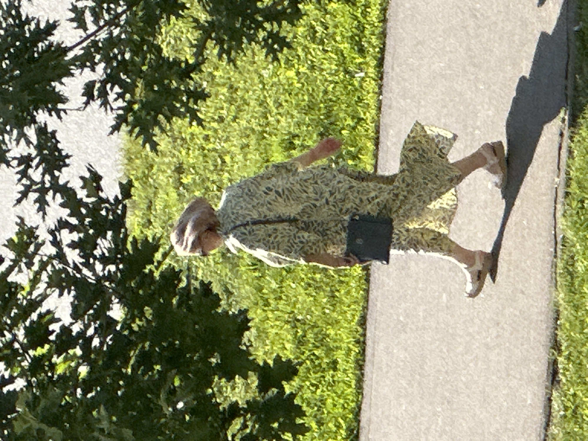 A woman with blonde hair, wearing sunglasses and a long, patterned dress, walks along a paved path bordered by green grass and trees. She is carrying a dark-colored purse over her left shoulder. The sun is casting a shadow of her onto the path. The background consists of dense green foliage. The image appears to be taken during the daytime.
