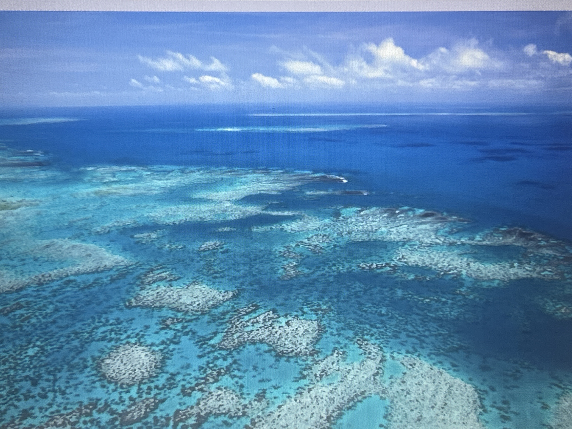 The image depicts an aerial view of a vibrant coral reef system submerged in clear, turquoise and deep blue ocean waters. The reef formations, visible as intricate, lighter-colored patterns against the darker seafloor, are scattered across the shallows, with deeper, unobstructed water extending to the horizon. The sky above is a bright blue, punctuated by scattered white clouds. There is no indication of the city of Sofia, Bulgaria, in this image.