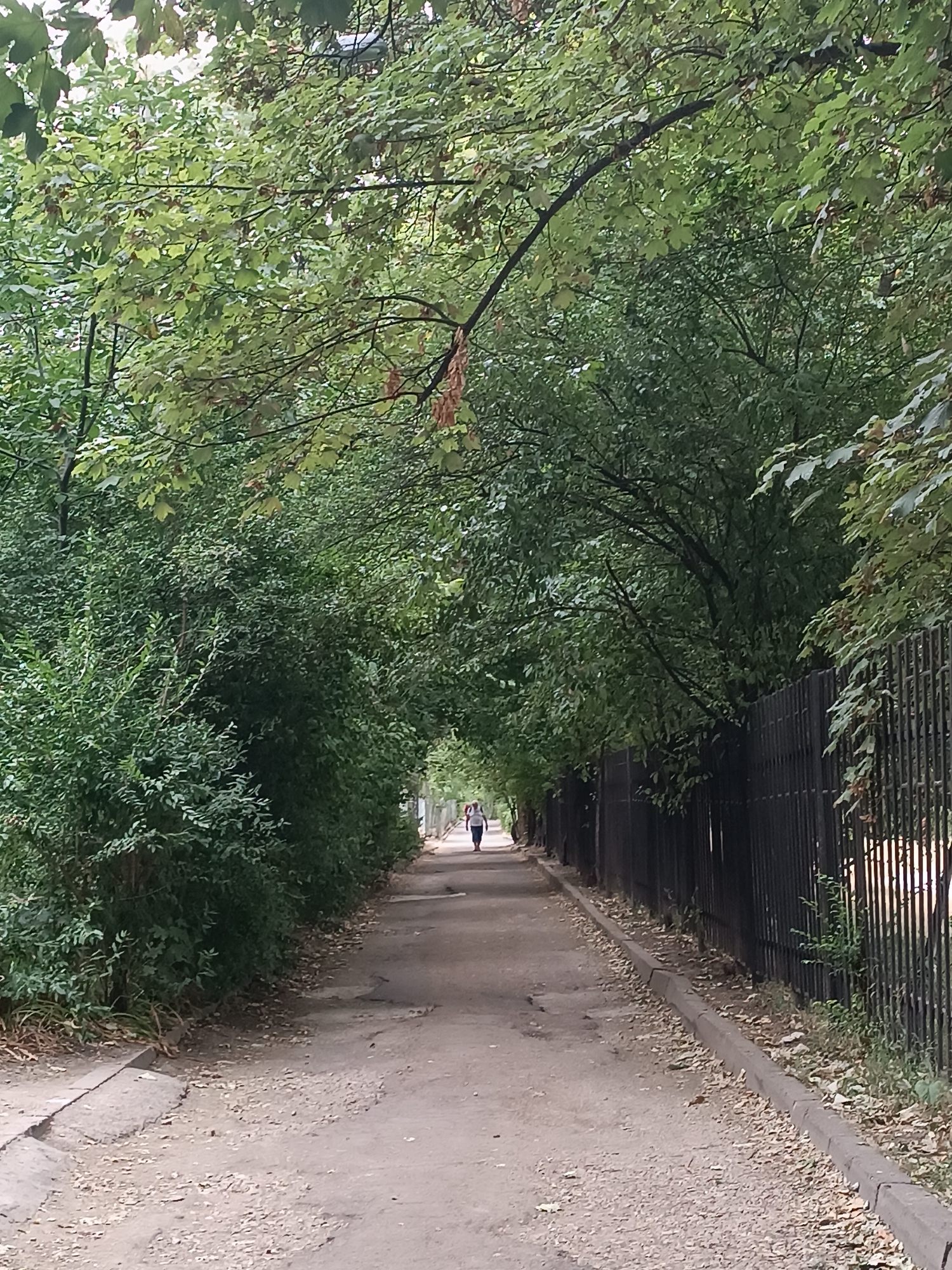 The image depicts a tree-lined path or alleyway with a dirt and gravel surface. Lush green foliage from overhanging trees creates a canopy overhead, casting the path in shadow. A dark metal fence runs along the right side of the path. In the distance, a solitary person, appearing as a silhouette, is walking away from the camera. The environment suggests an urban park or a residential street with abundant greenery. The scene is captured from a ground-level perspective, looking down the path as it recedes into the distance.