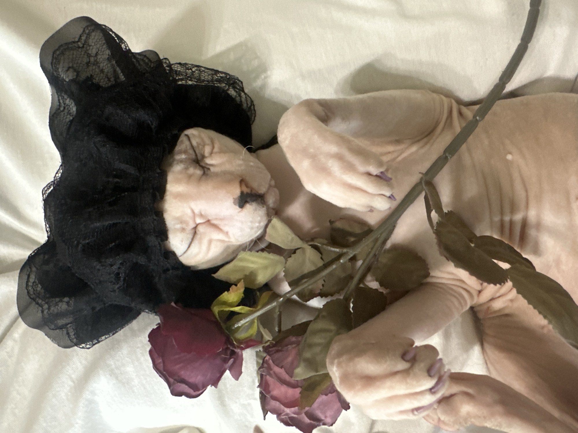 The image shows a hairless cat lying on its back on a white, textured surface that appears to be a bed. The cat is wearing a black lace bonnet that covers its head. It has its eyes closed and its paws are resting on a stem with several artificial roses. The roses are a deep red and purple color. The cat's skin is pinkish and wrinkled, typical of the breed. The lighting in the image is soft, creating shadows that highlight the texture of the cat's skin and the lace bonnet. The background is out of focus, but it appears to be a continuation of the white surface. There is no indication of the city of Togliatti, Russia, in the image.