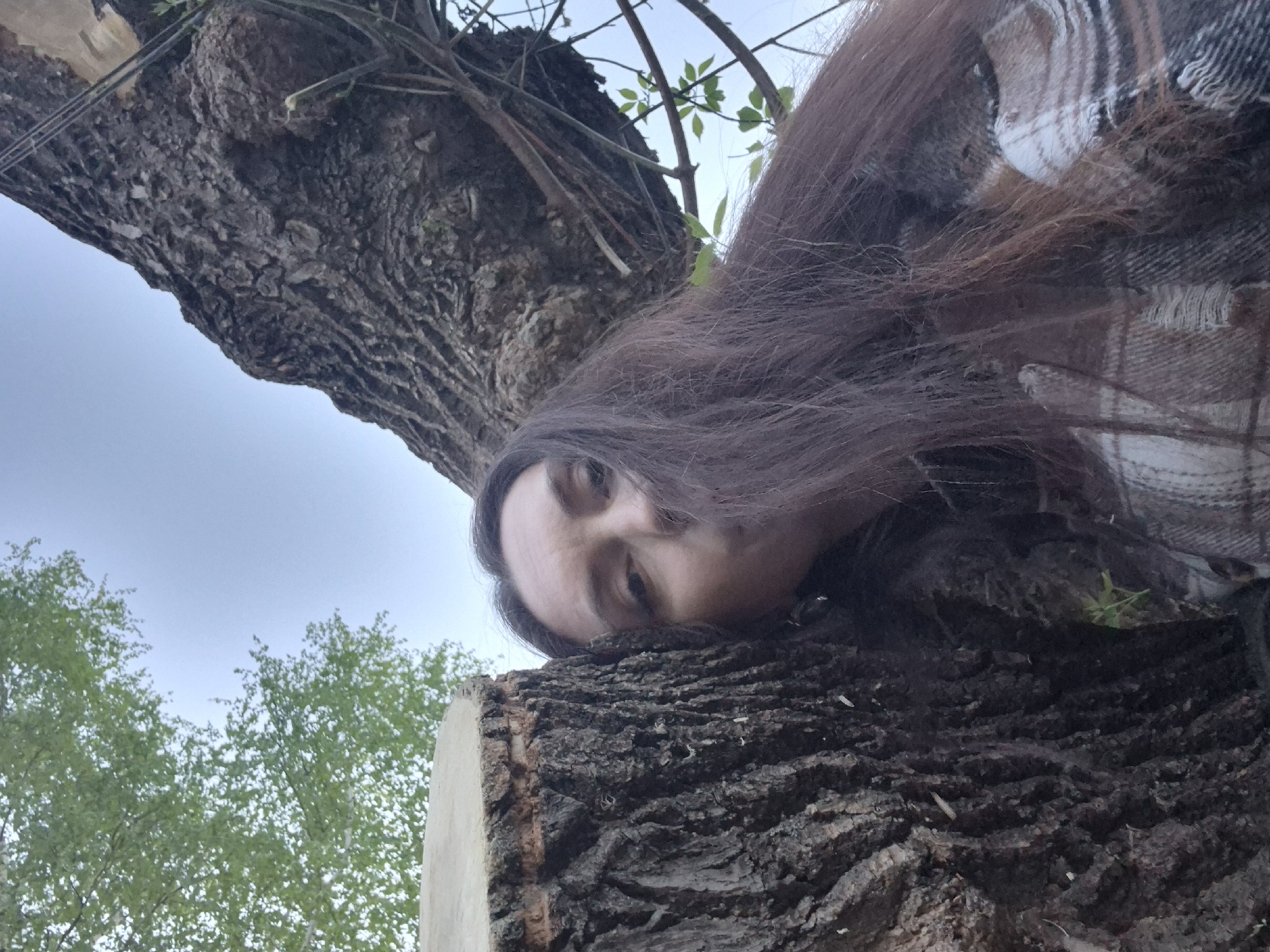 A woman with long, dark hair and wearing a plaid garment is resting her head on a large, recently cut tree trunk. The cut section of the trunk is visible, displaying the light-colored wood beneath the bark. Other trees with green foliage are visible in the background. The sky appears overcast. The image appears to have been taken in an outdoor, possibly wooded, area in the city of Chaikovsky, Russia.